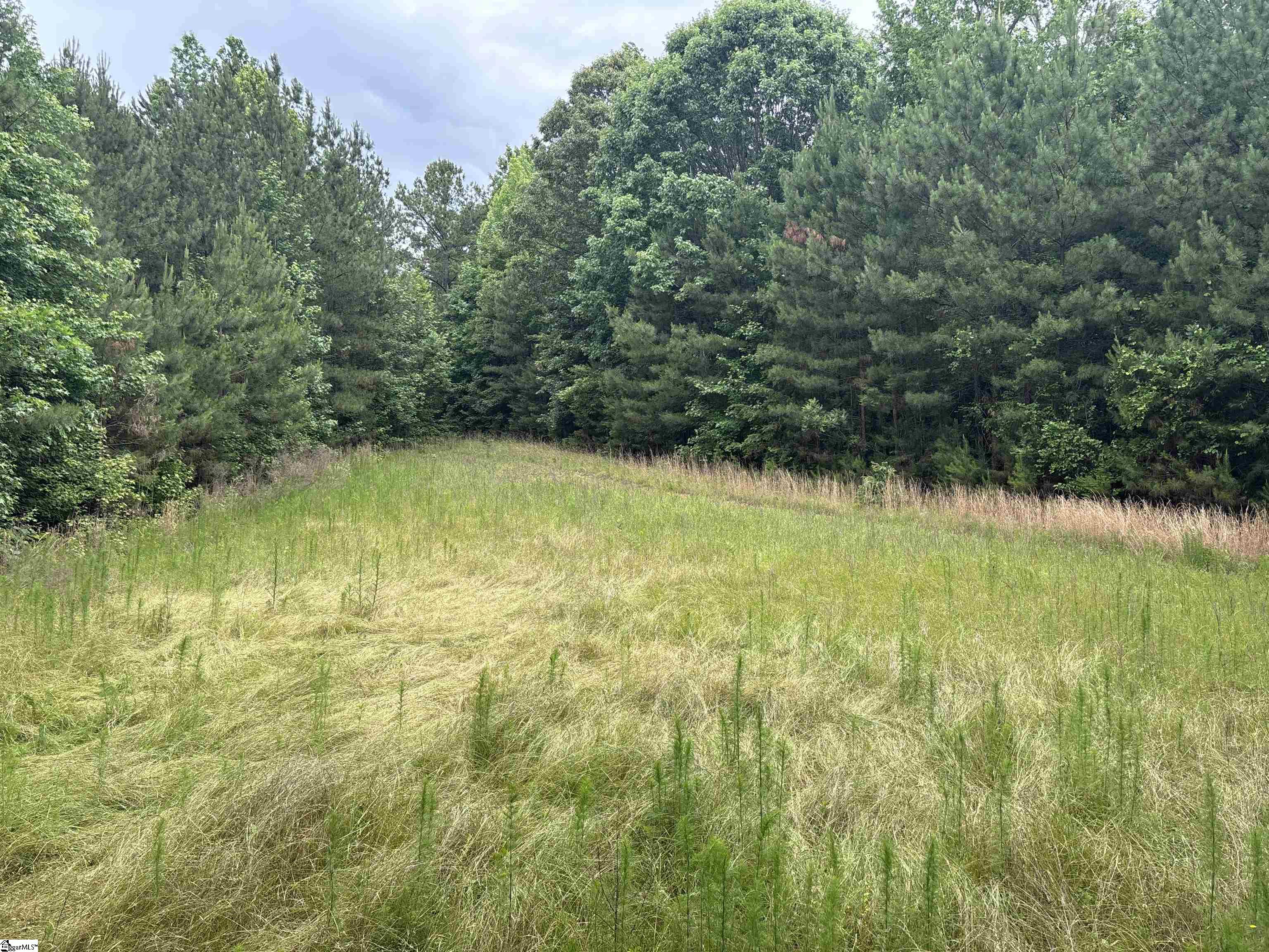 1087 Bobby Faucette Road Property Photo 37