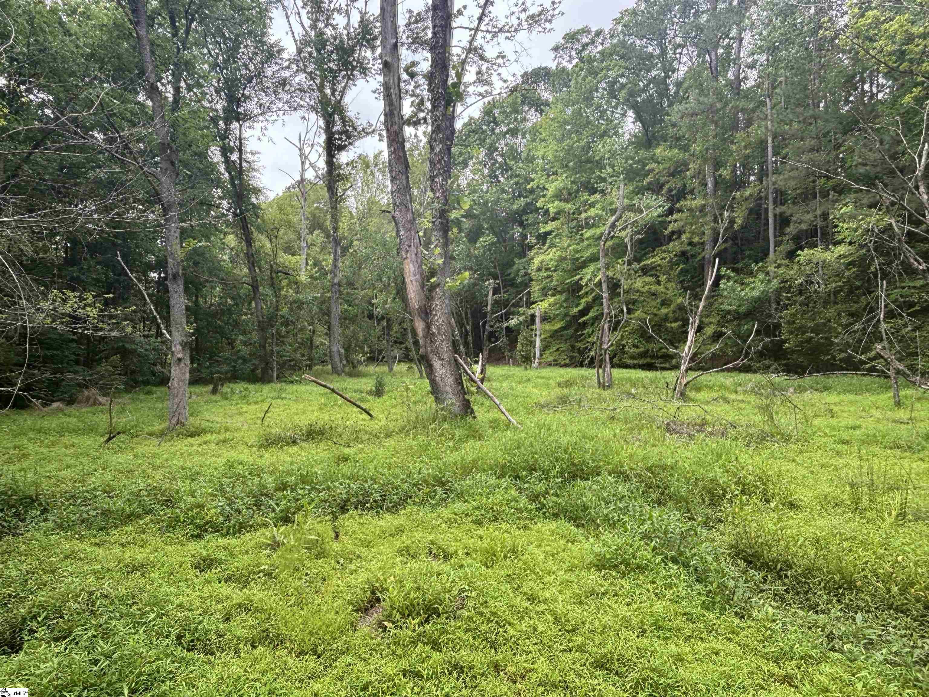 1087 Bobby Faucette Road Property Photo 38