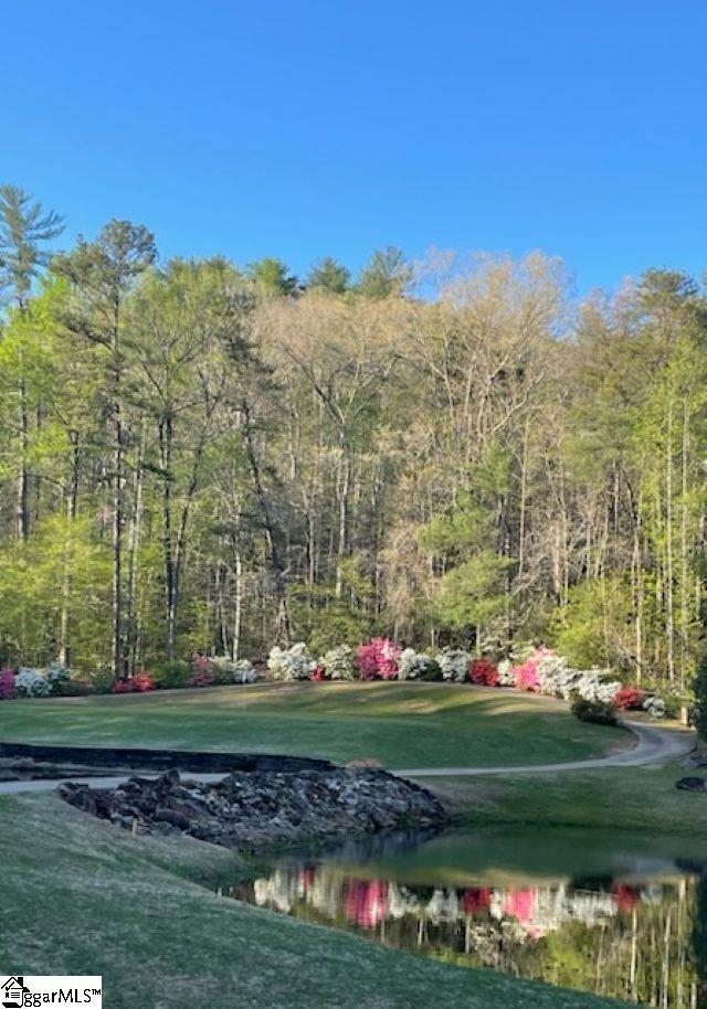154 Broken Bow Run Property Photo 3