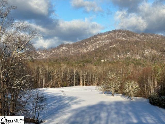 154 Broken Bow Run Property Photo 14