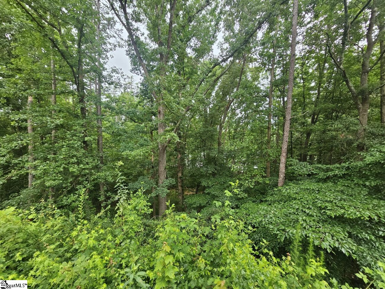 402 Lookover Drive Property Photo 19