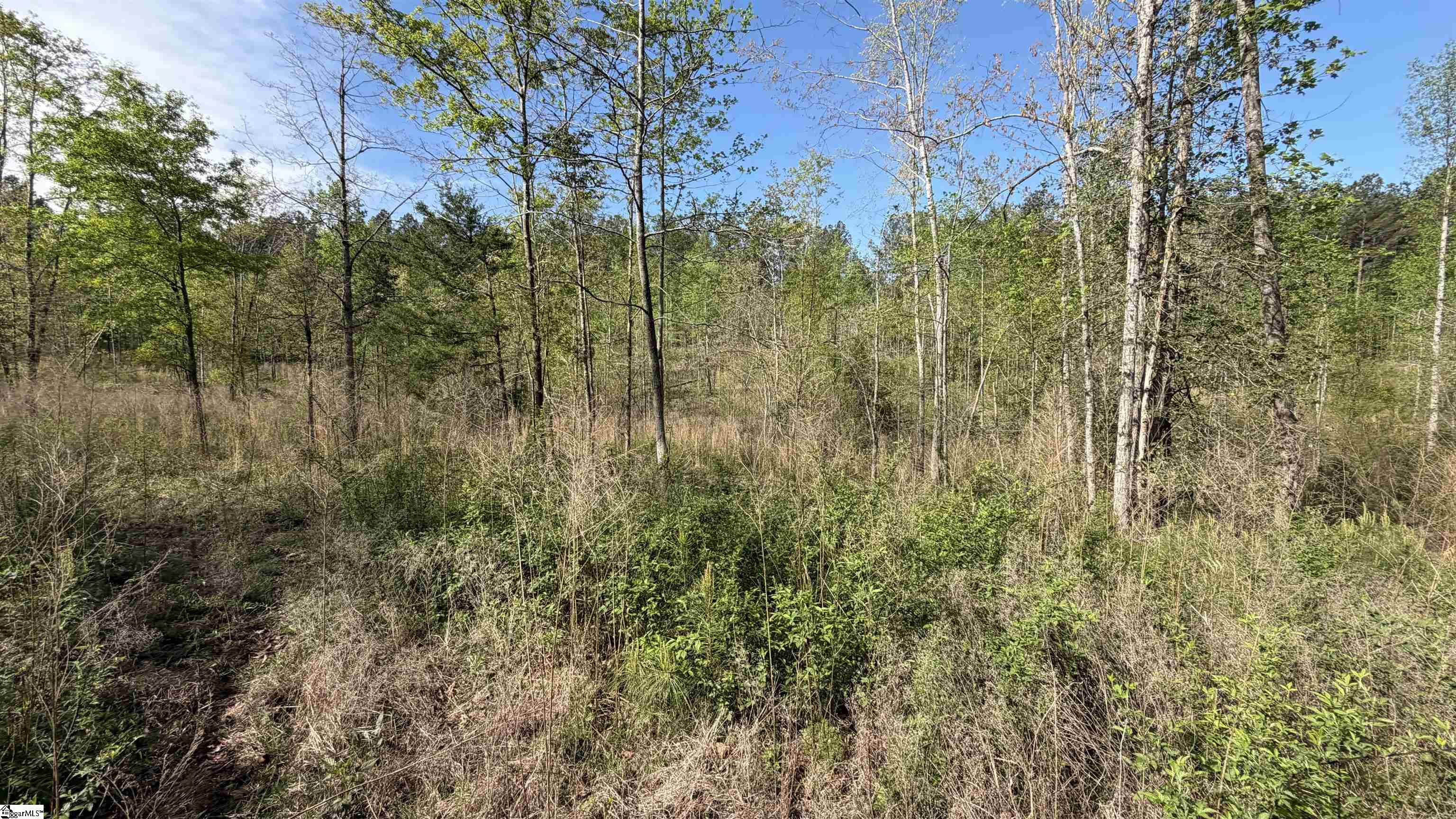 2125 Hwy 247 Property Photo 8
