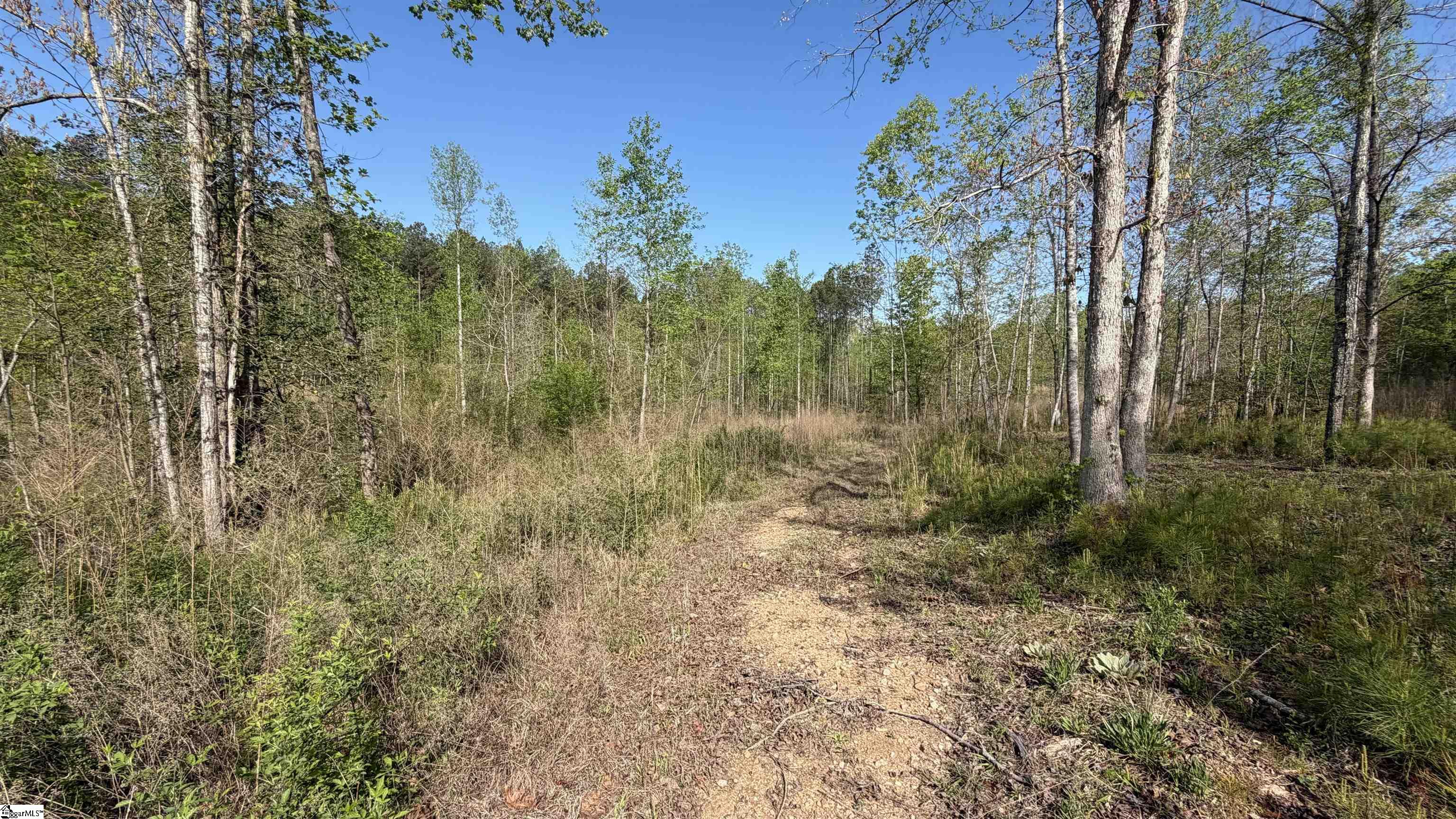 2125 Hwy 247 Property Photo 9