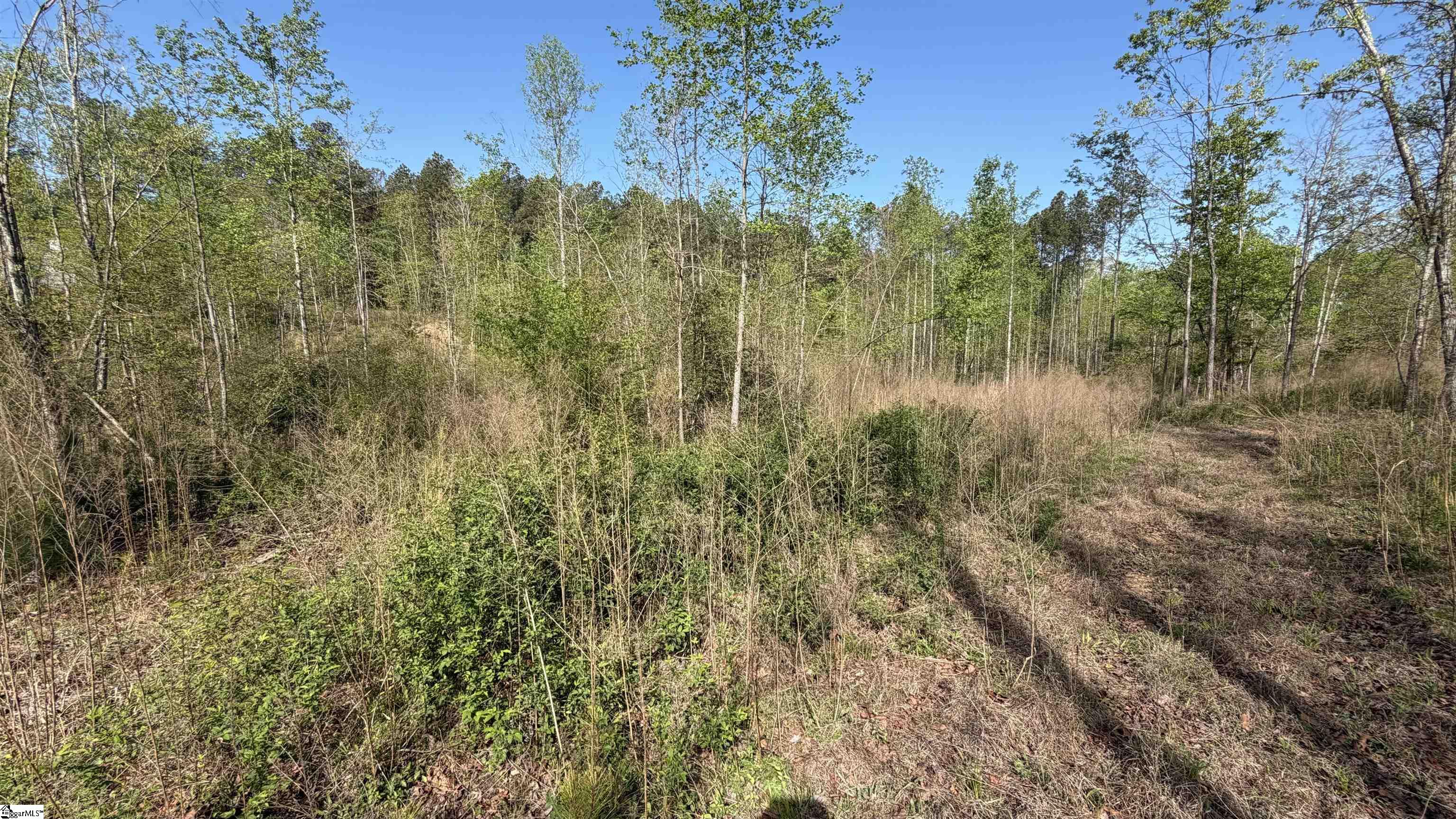 2125 Hwy 247 Property Photo 10