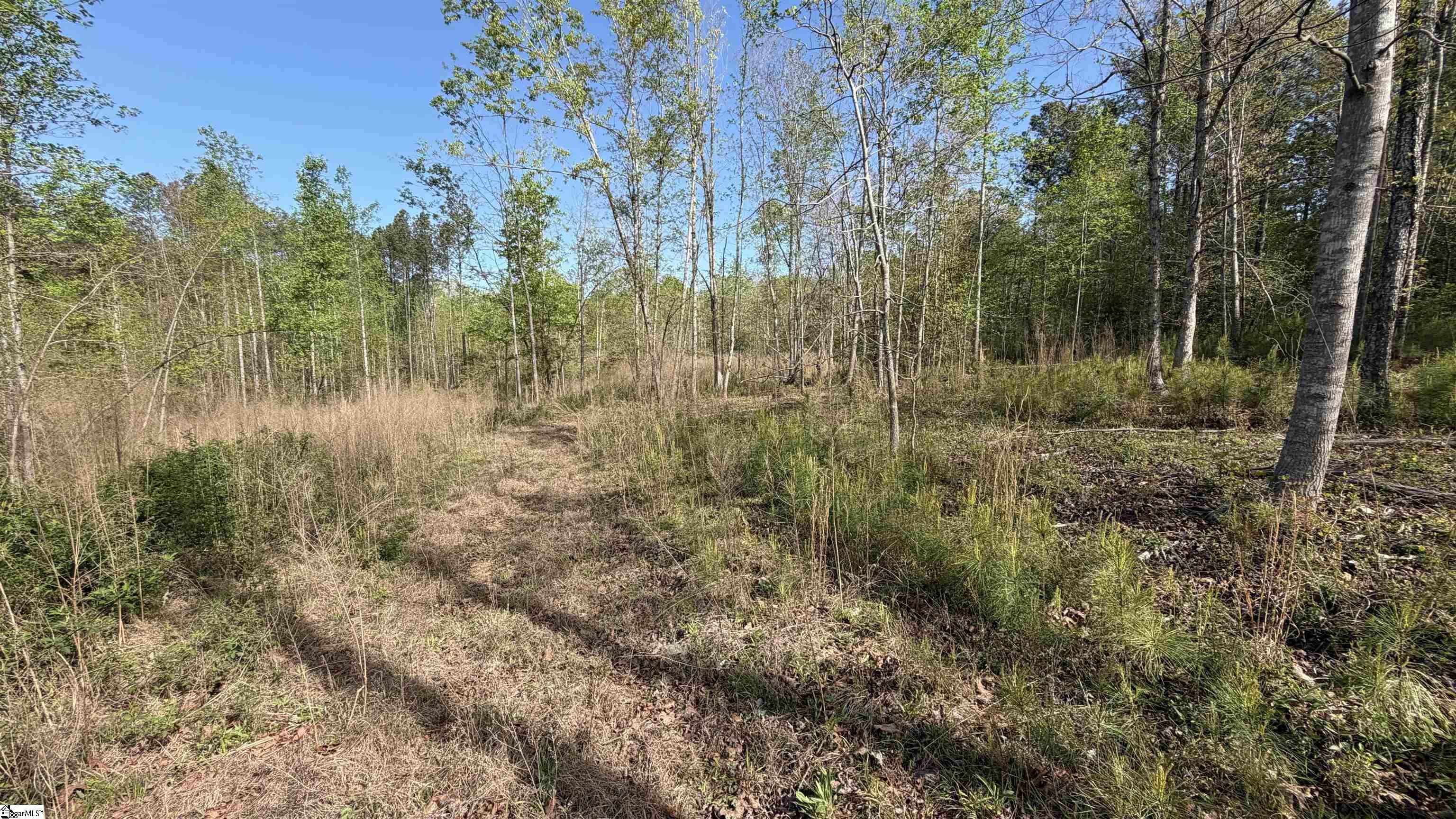 2125 Hwy 247 Property Photo 11