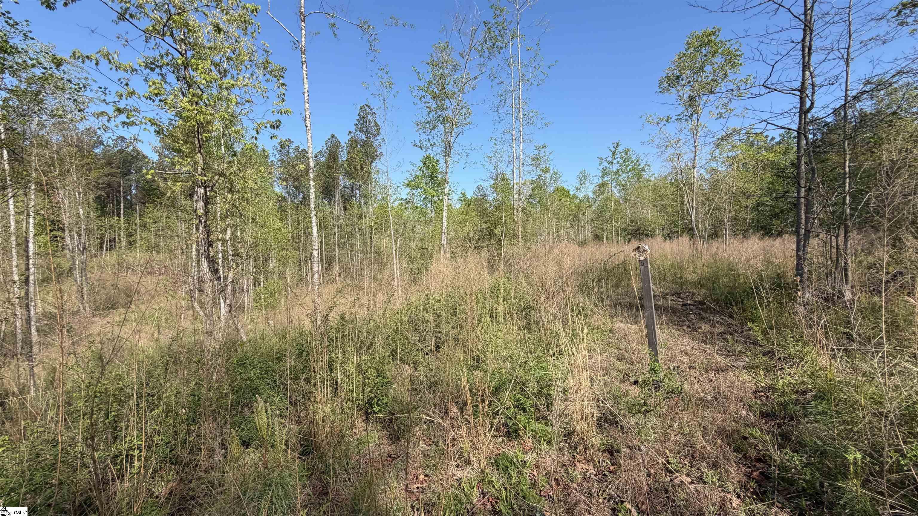 2125 Hwy 247 Property Photo 12