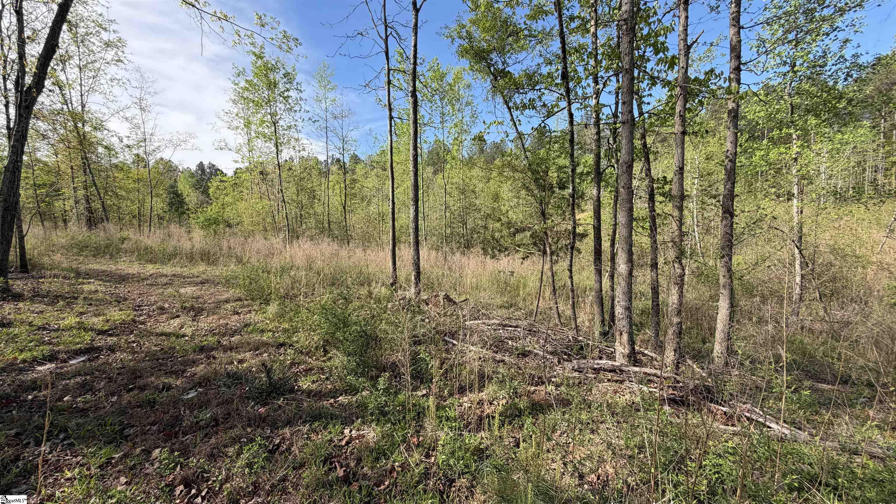 2125 Hwy 247 Property Photo 13