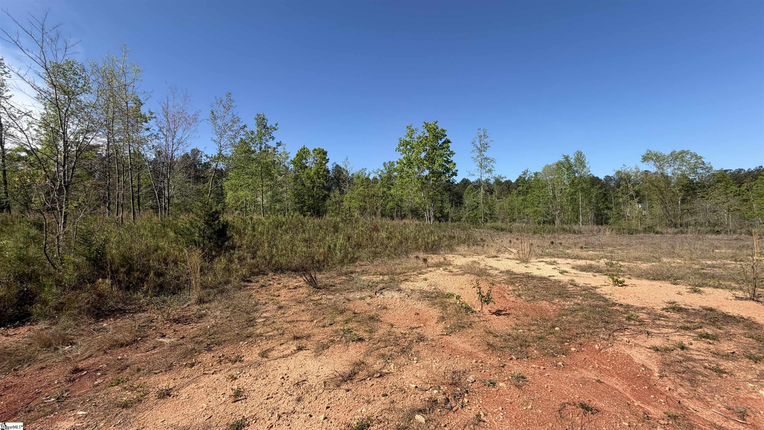 2125 Hwy 247 Property Photo 15