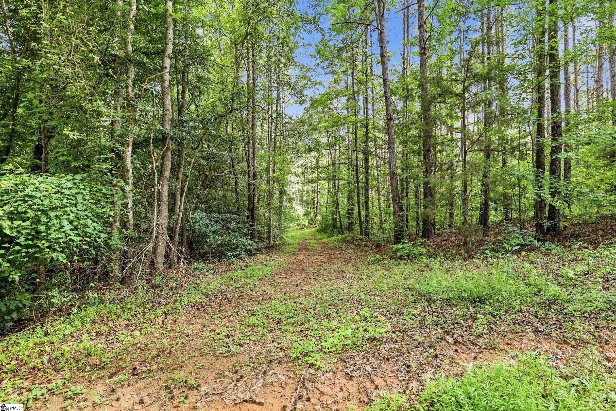 549 Mckittrick Bridge Road Property Photo 36