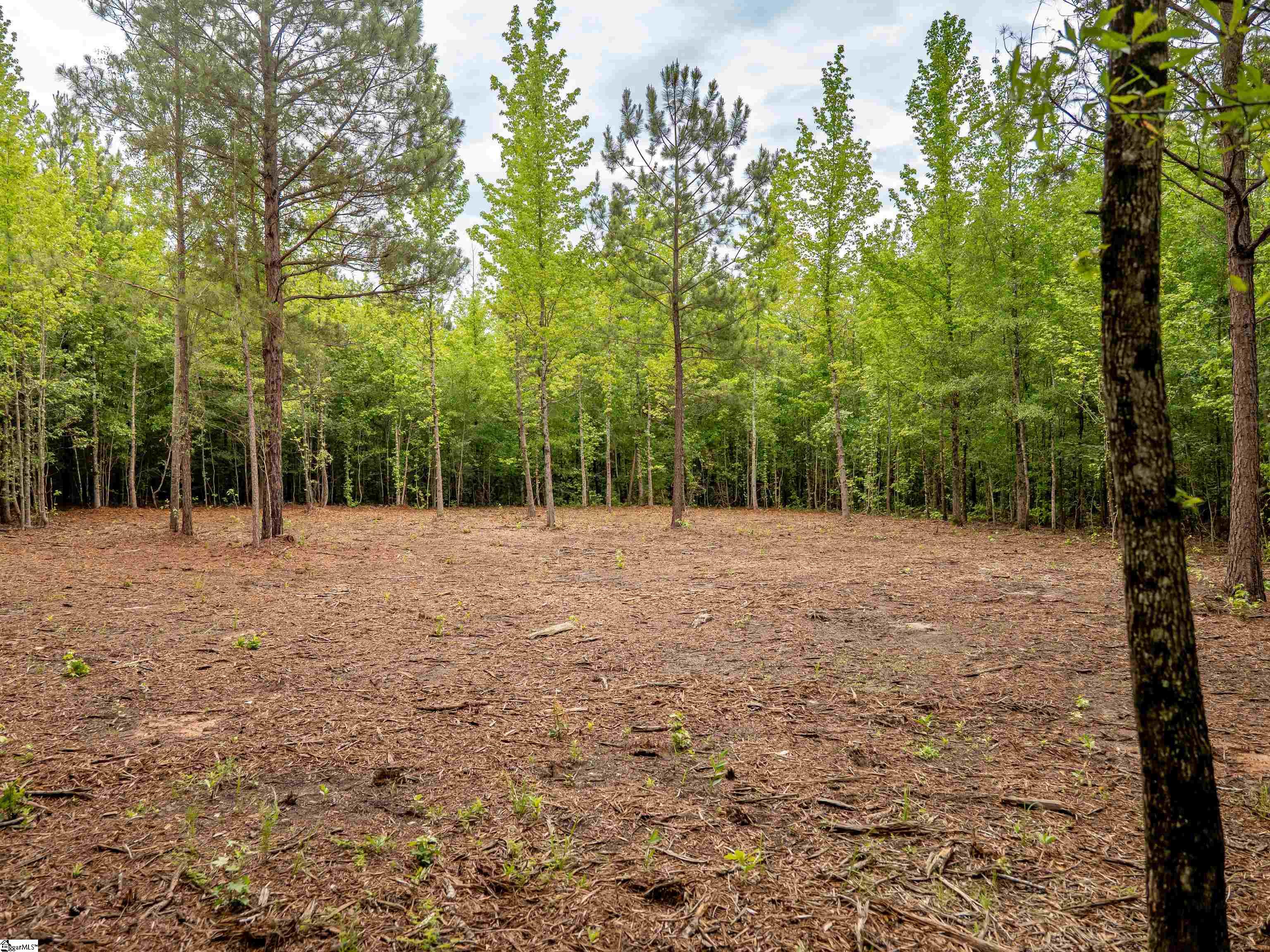00 Terry Road Property Photo 19