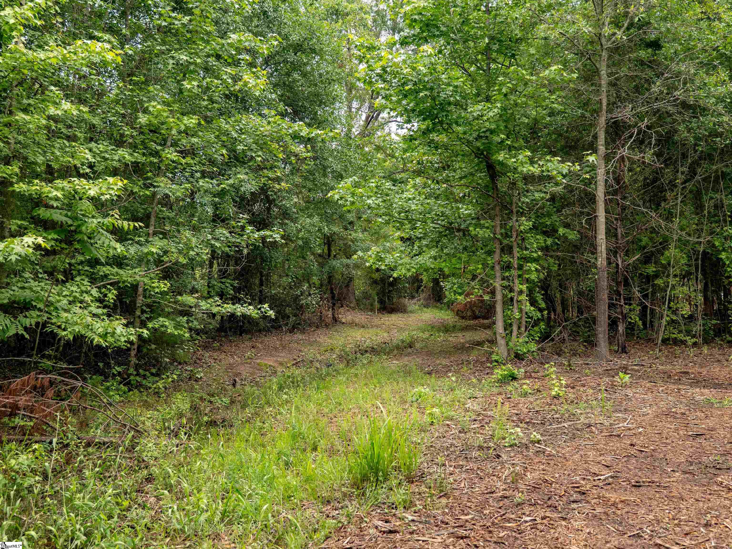 00 Terry Road Property Photo 16