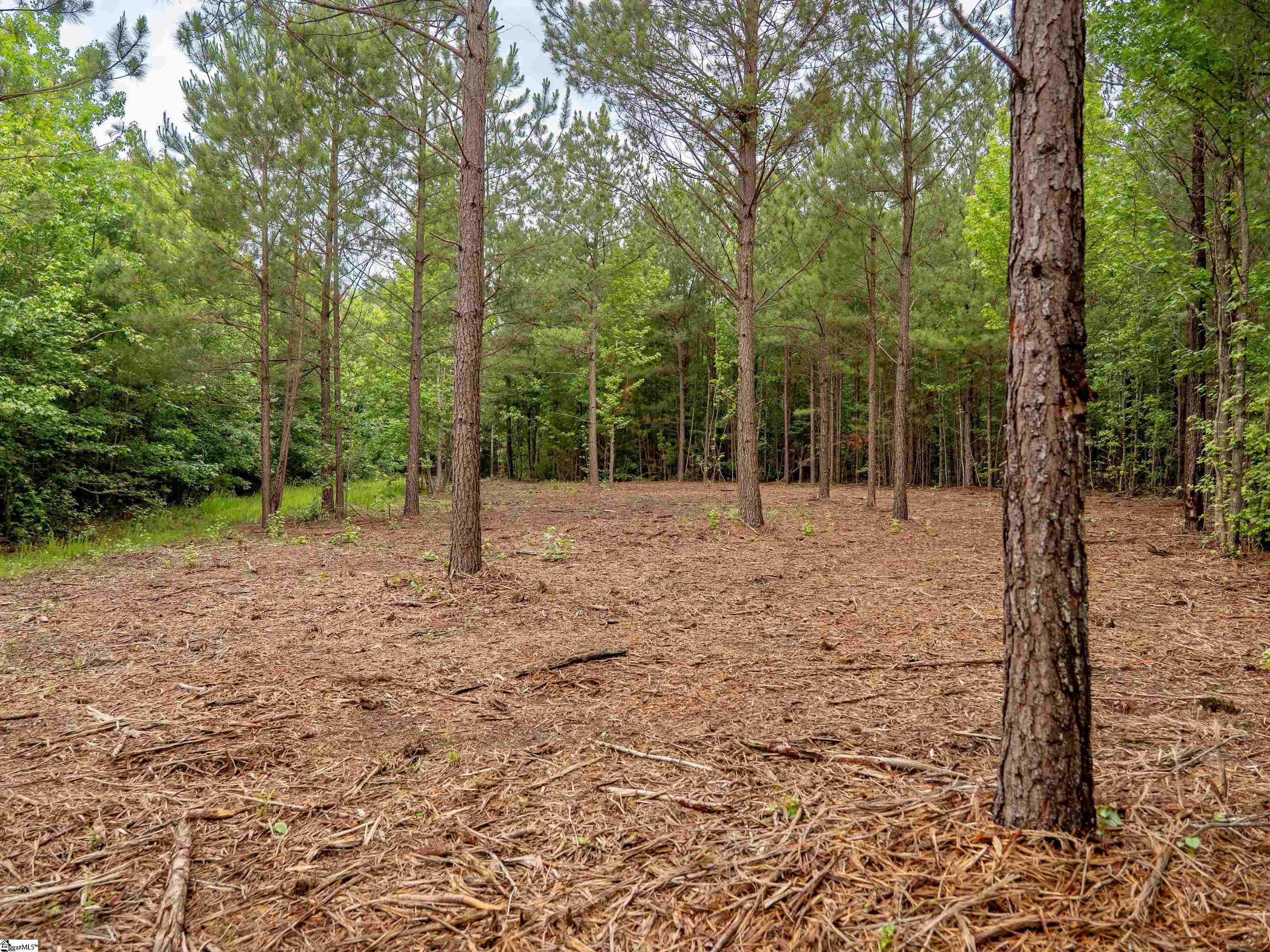 00 Terry Road Property Photo 20