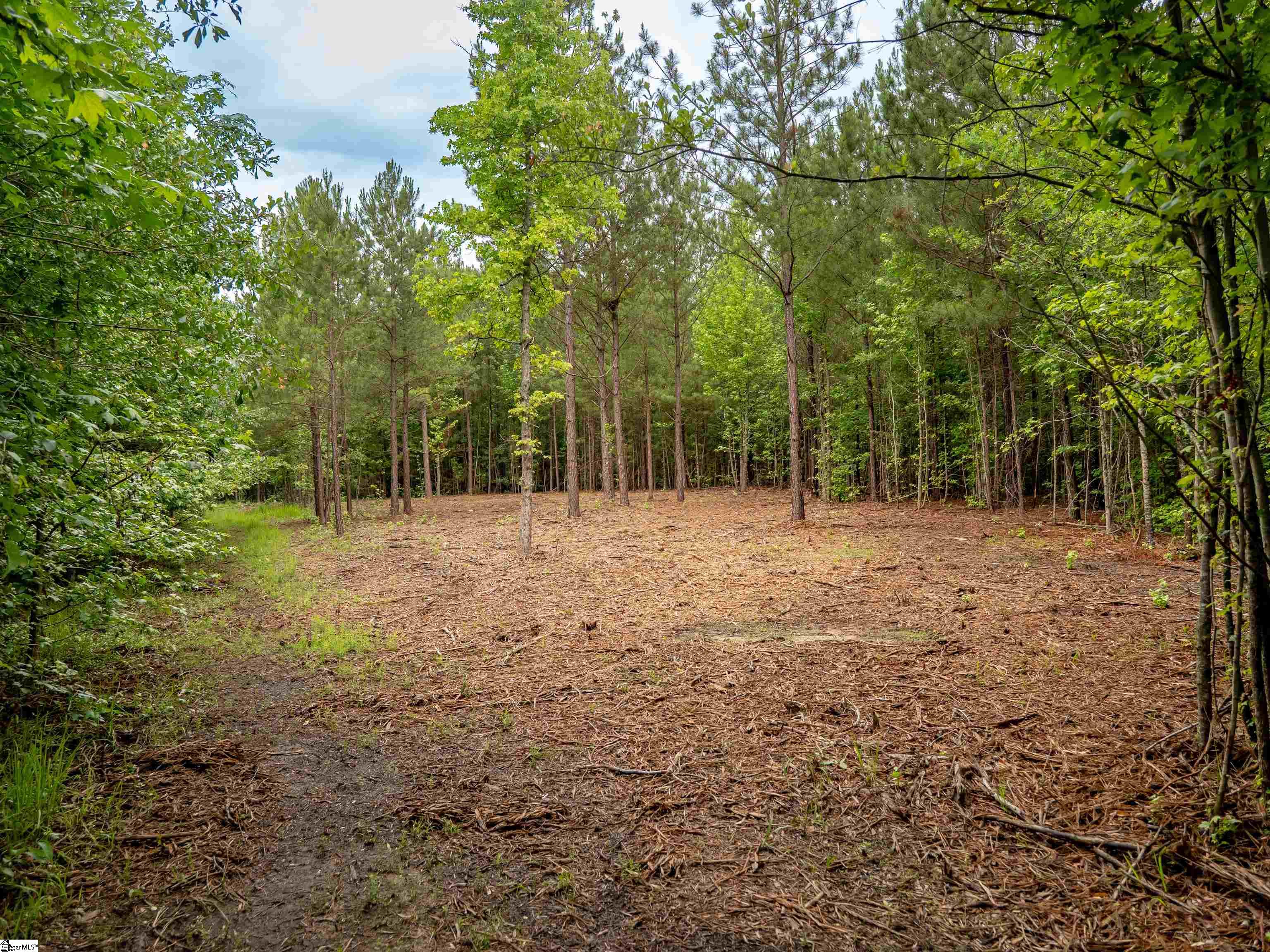00 Terry Road Property Photo 21