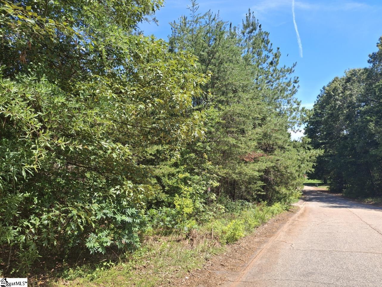 302 Walnut Drive Property Photo 1