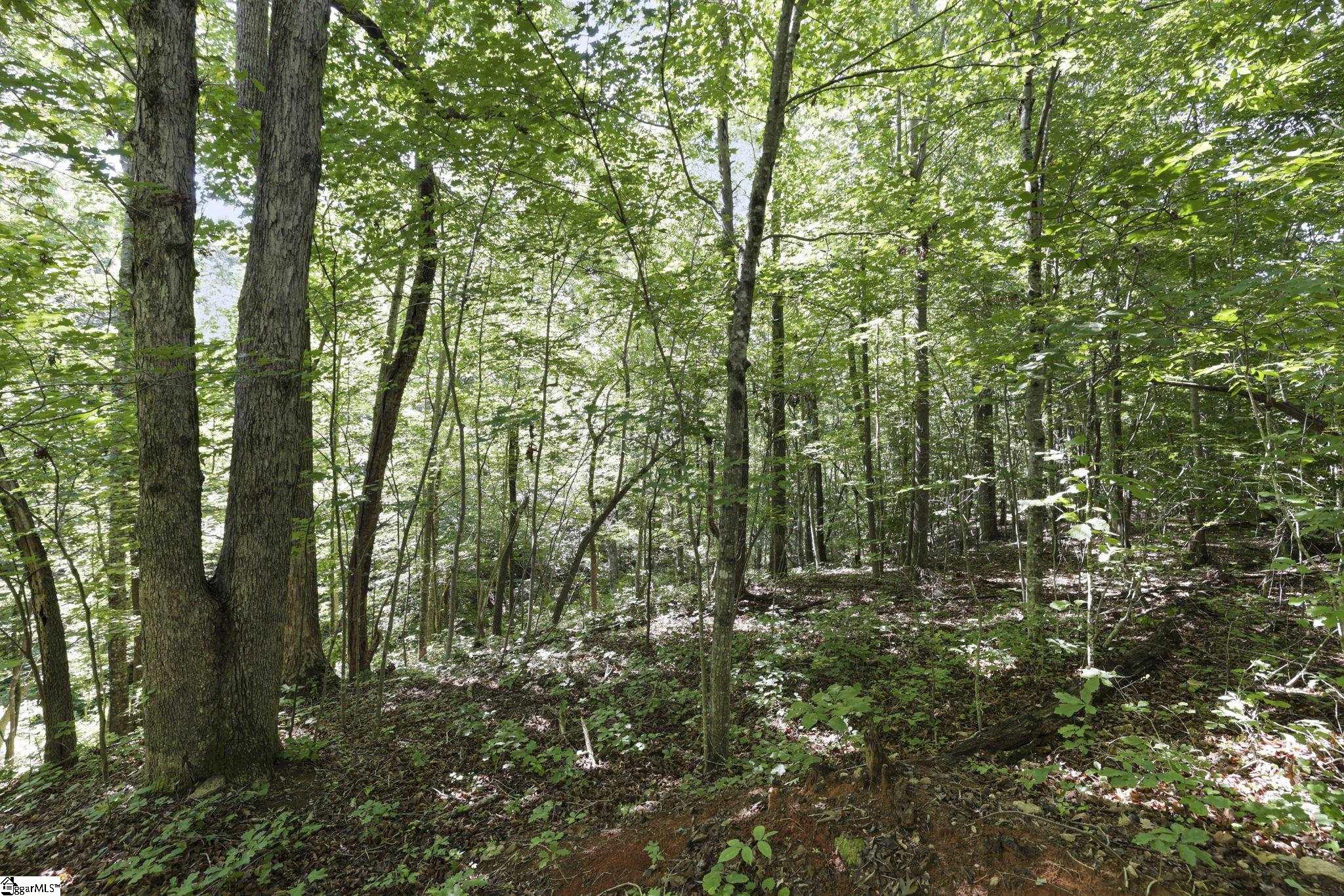 196 Raines Road Property Photo 18