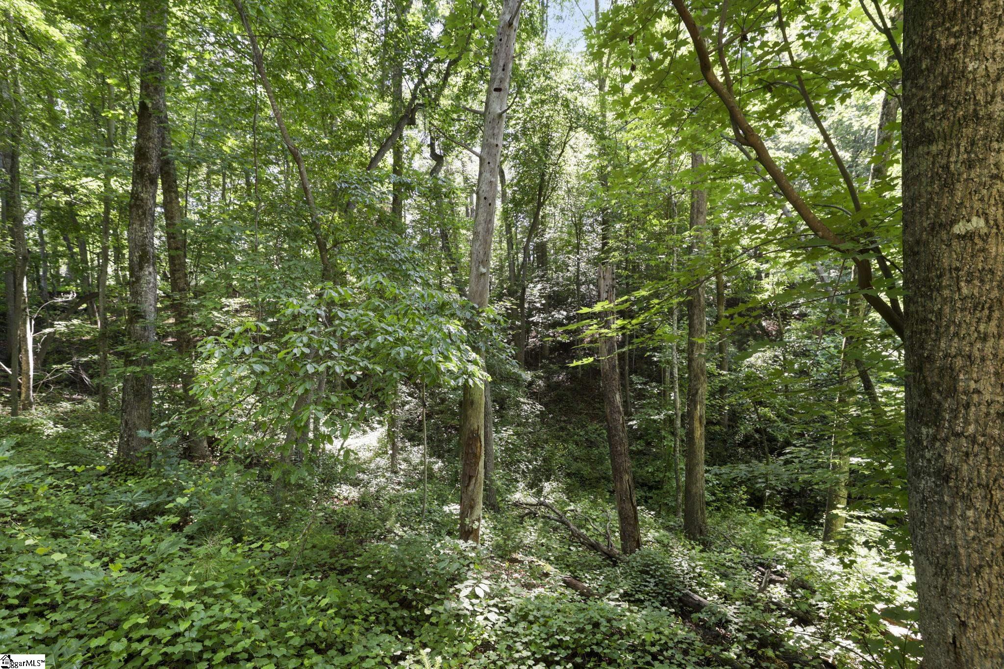 196 Raines Road Property Photo 38