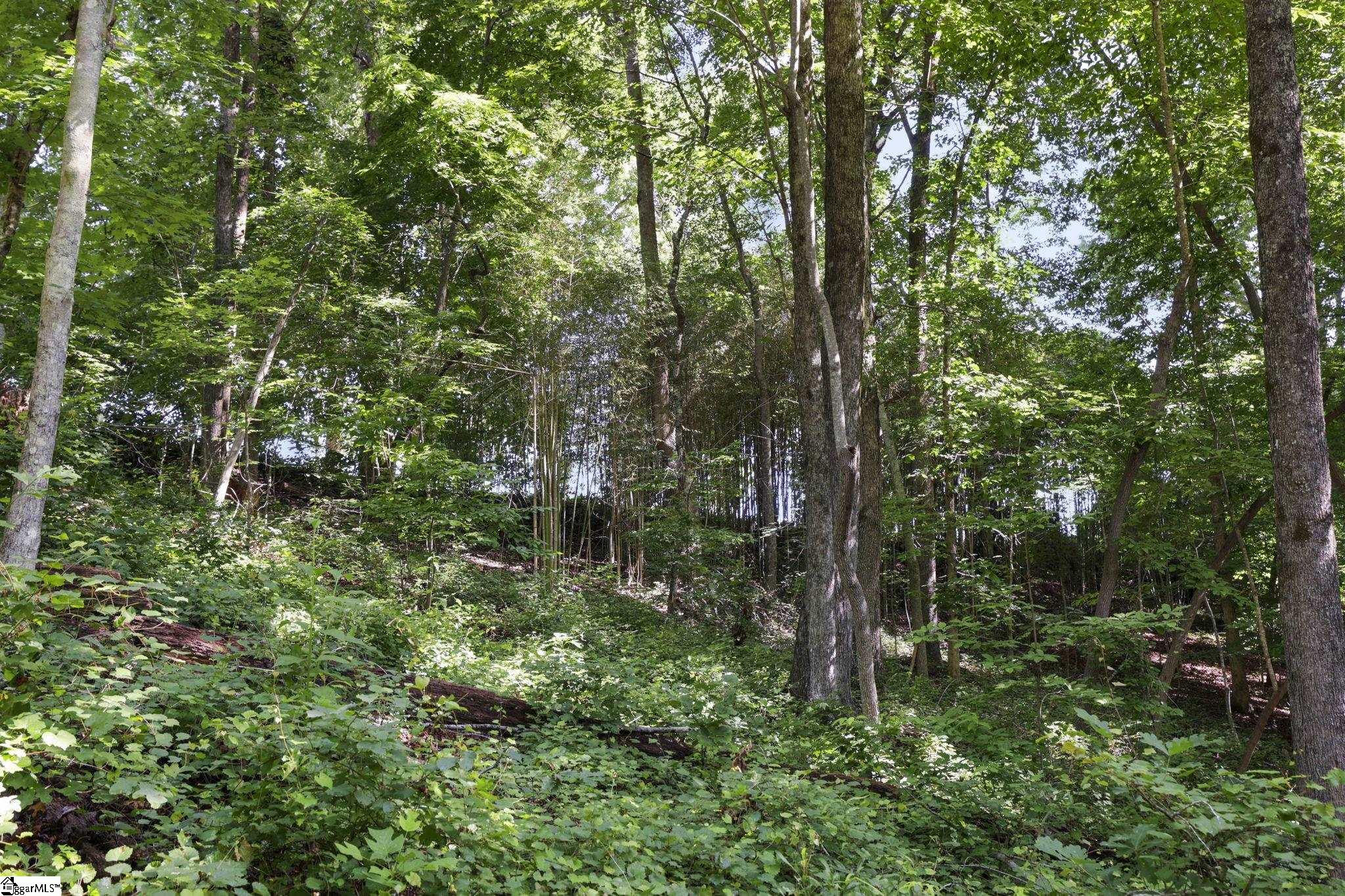 196 Raines Road Property Photo 39