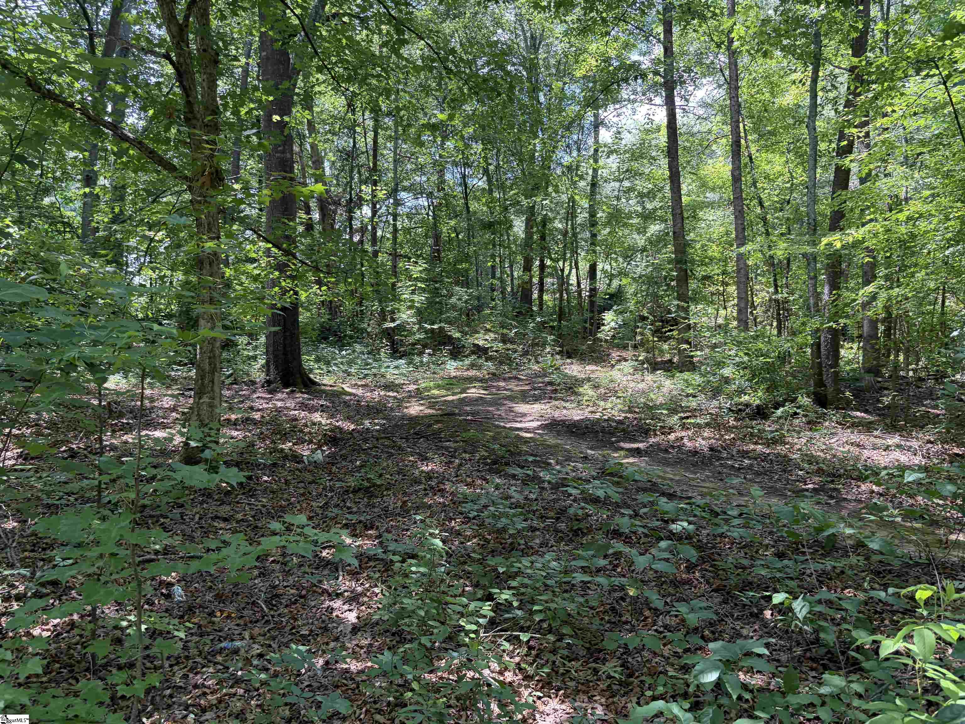 125 N Gray Haven Lane Property Photo 17