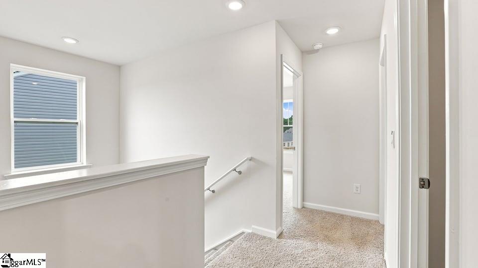 1510 Azure Lane Property Photo 19