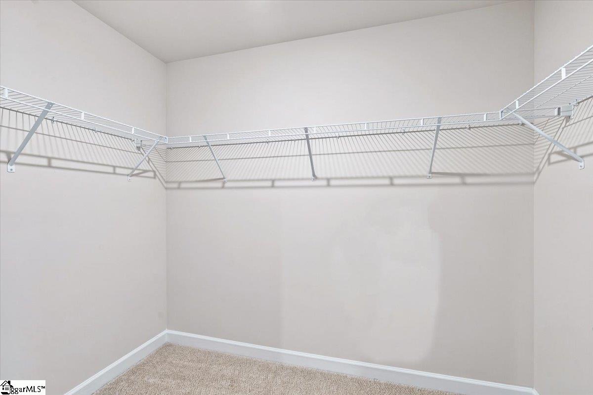 431 Upland Water Court Property Photo 19