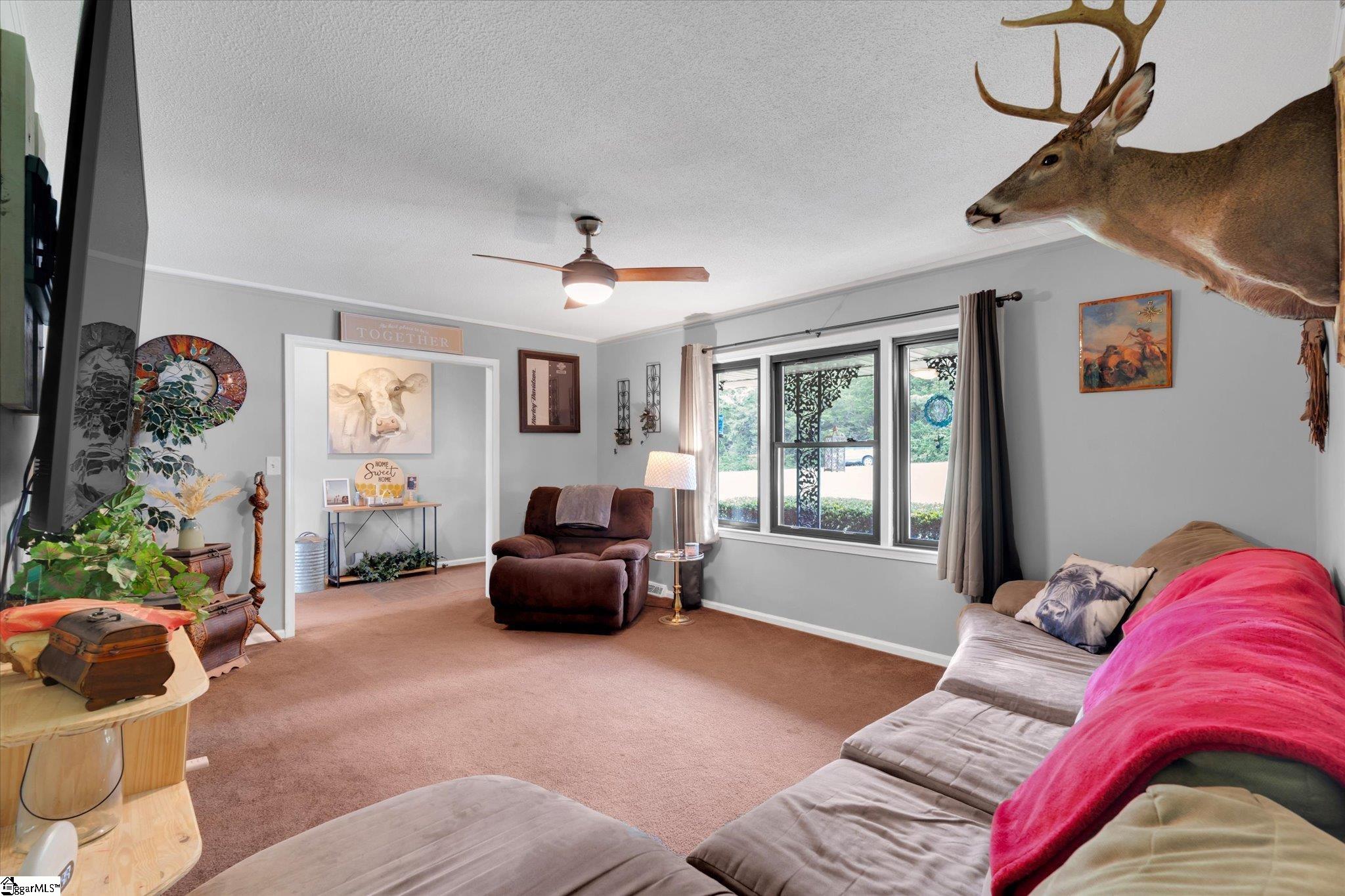 126 Crawford Road Property Photo 8