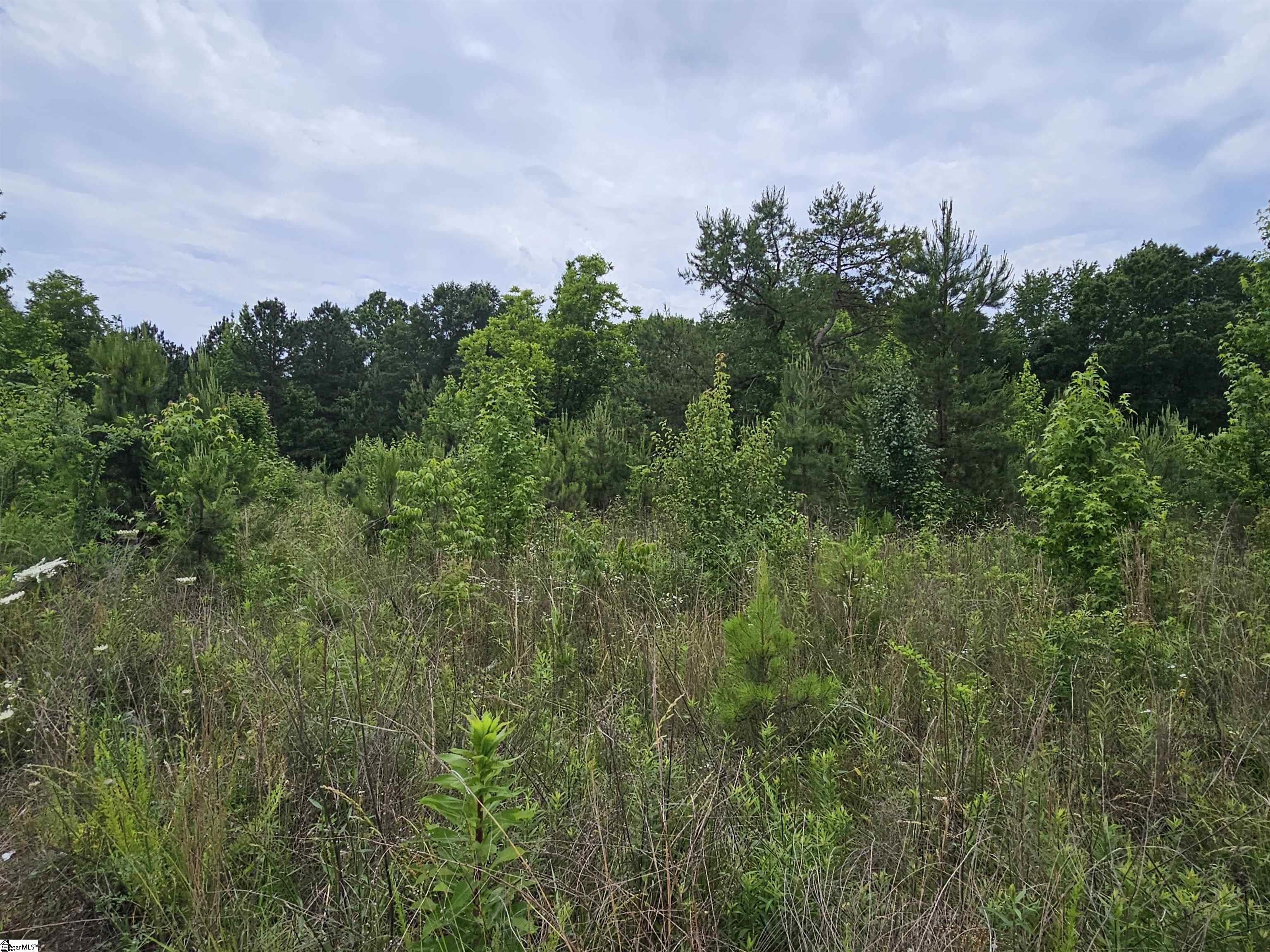 144 Colleton Lane Property Photo 2