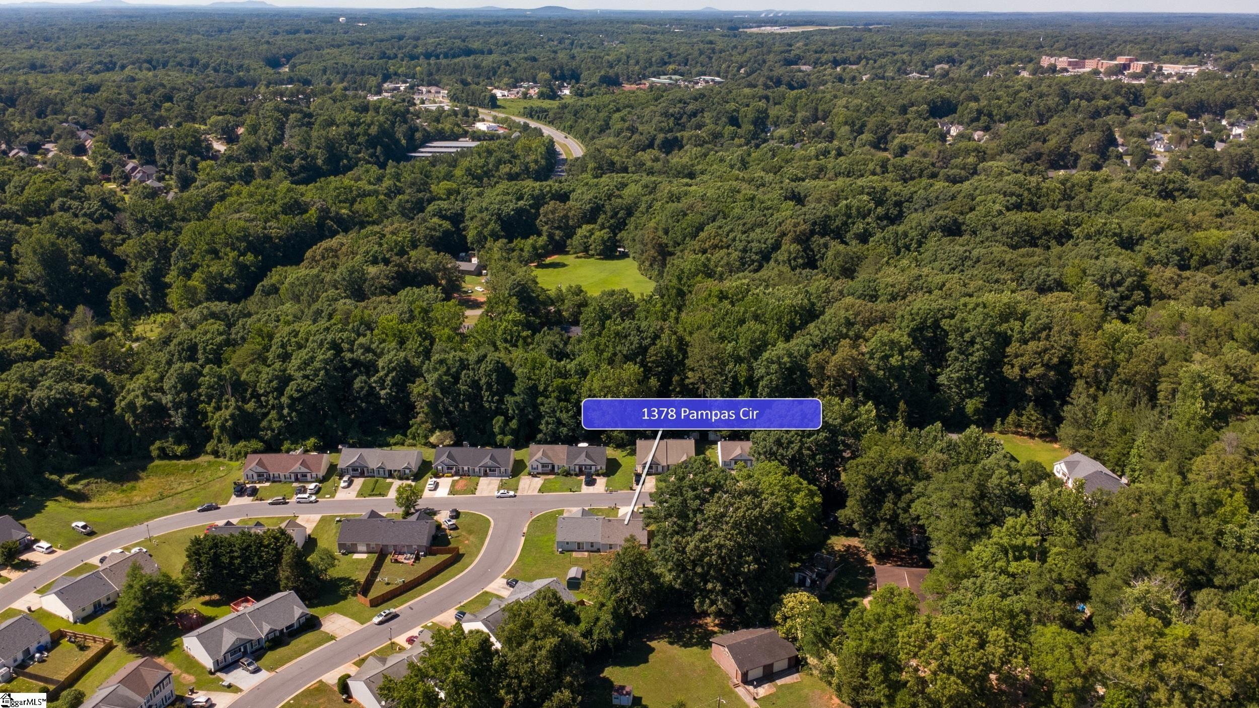 1378 Pampas Circle Property Photo 39