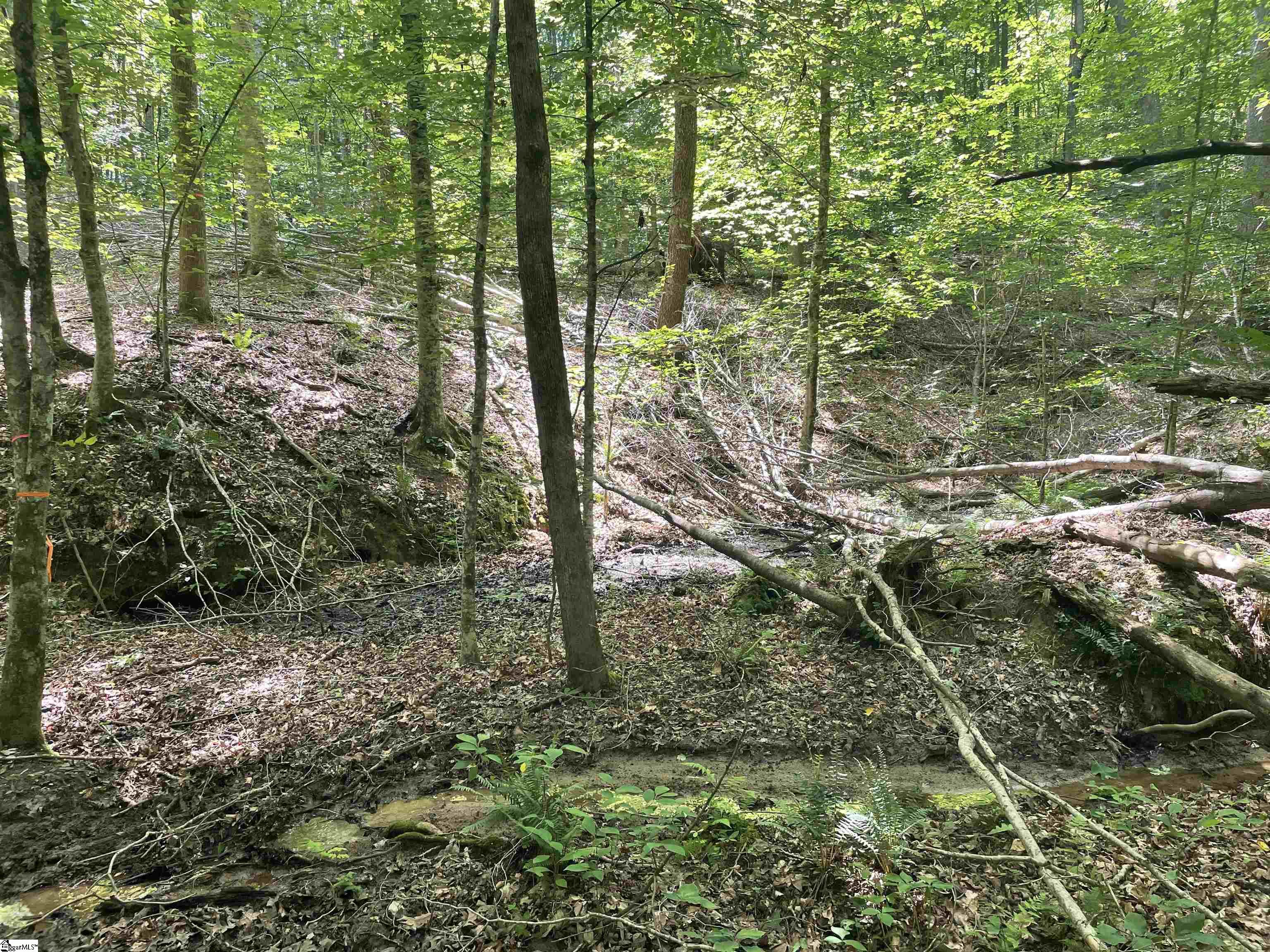 00 Nimmons Bridge Road Property Photo 11