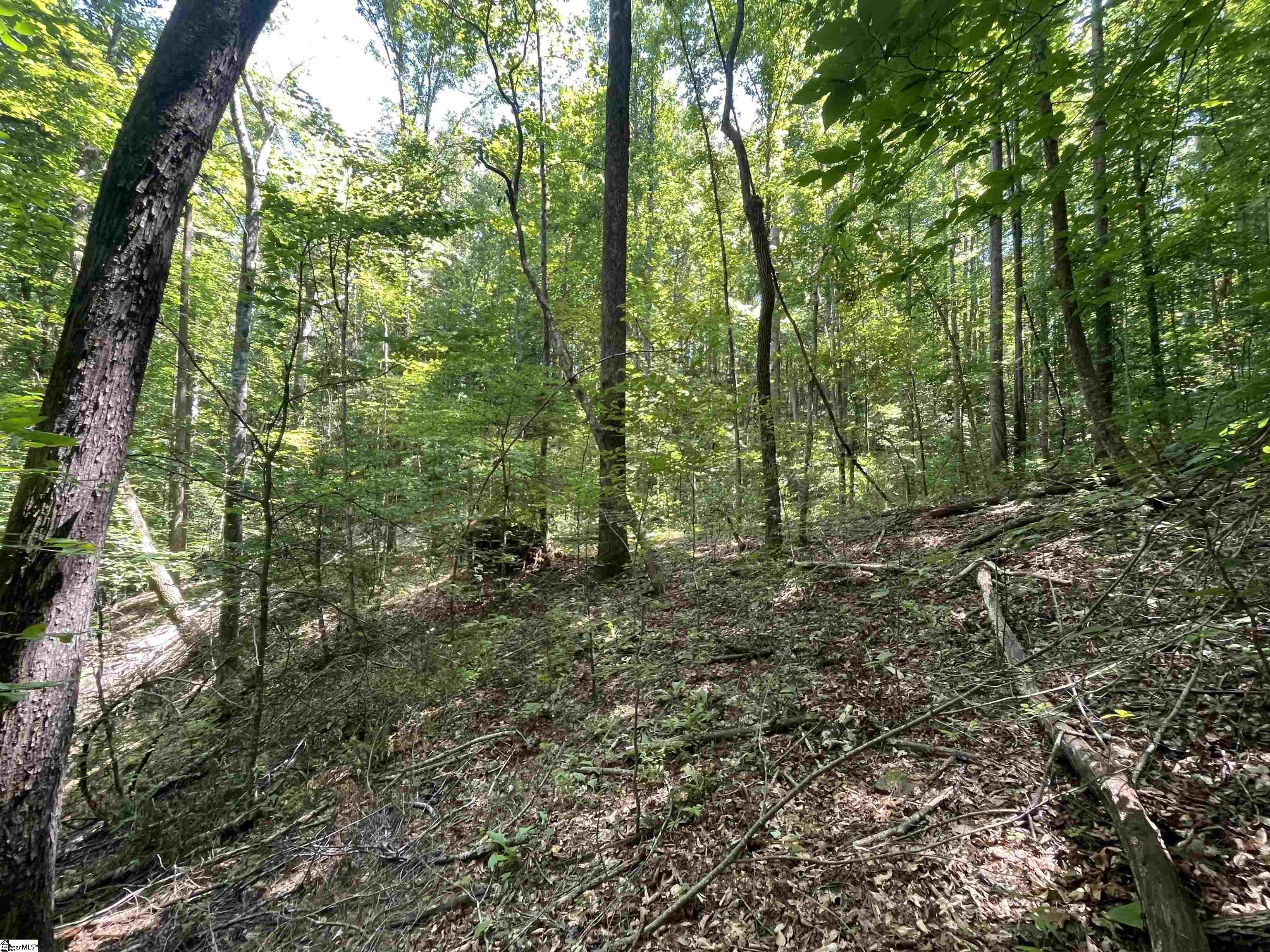 00 Nimmons Bridge Road Property Photo 18