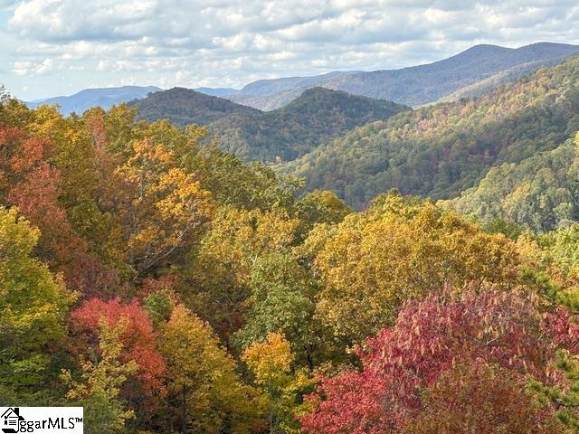 817 Mountain Summit Road Property Photo 8