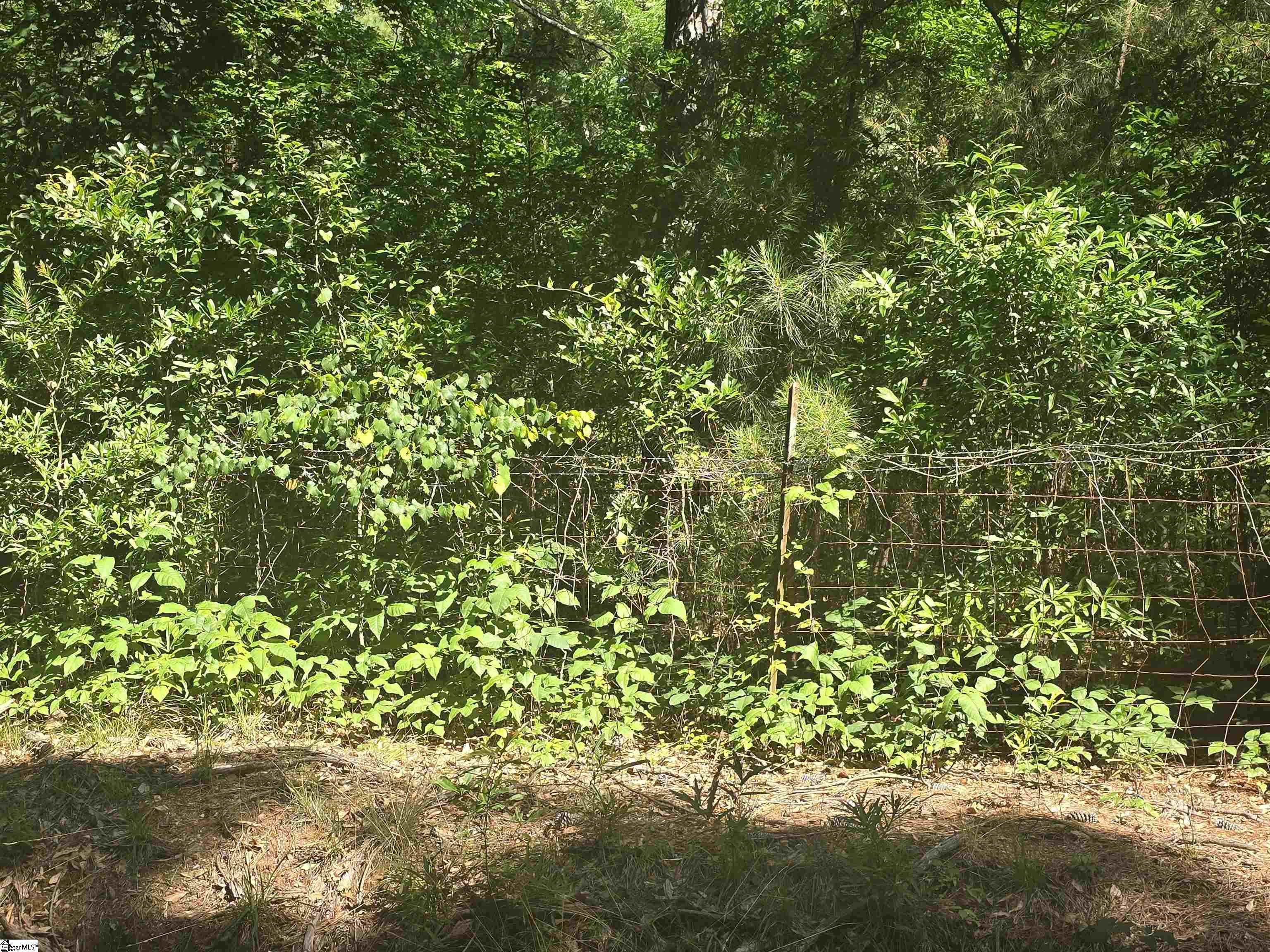 12.3 Acres 243 Highway Property Photo 3