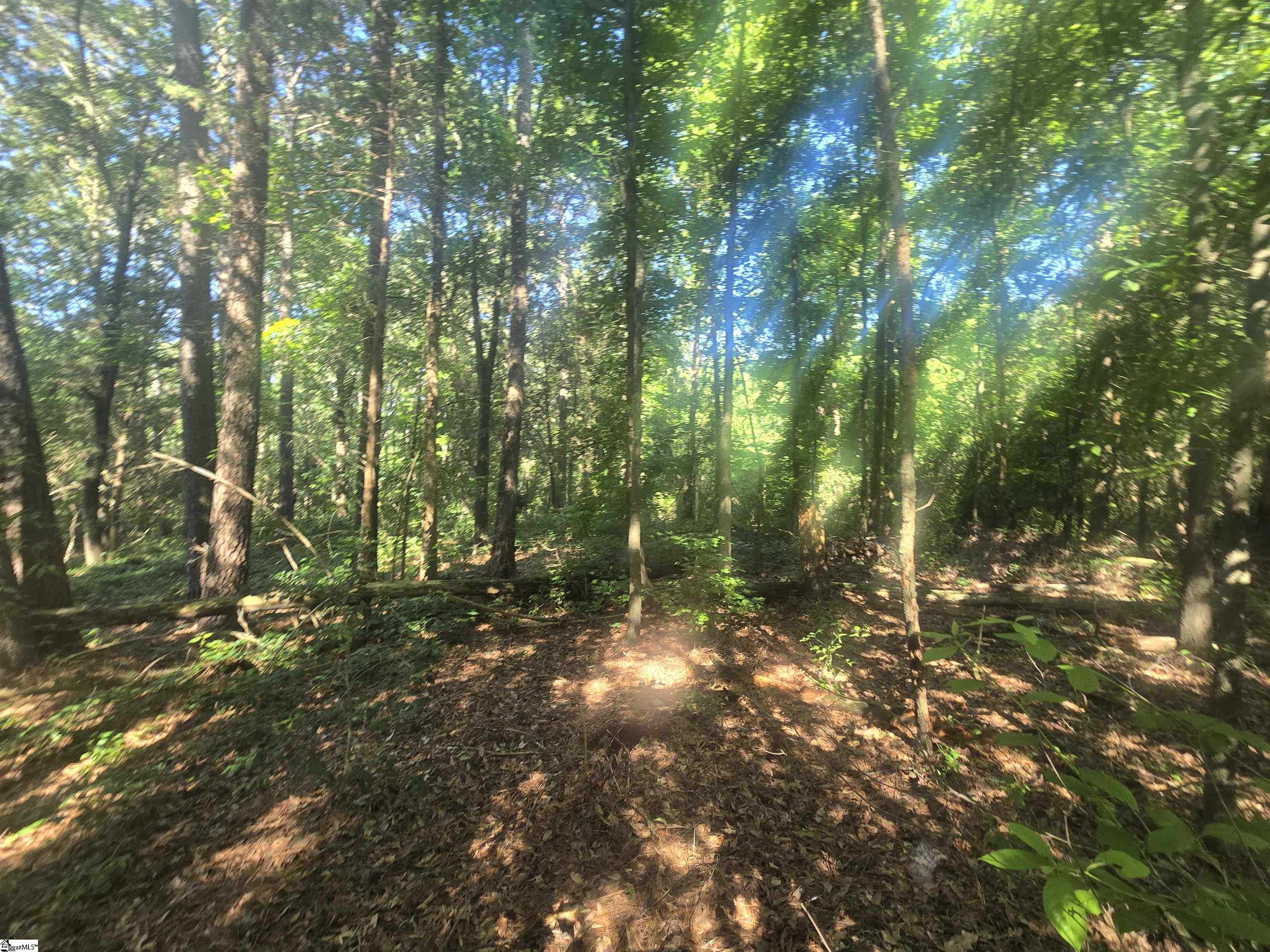 12.3 Acres 243 Highway Property Photo 5