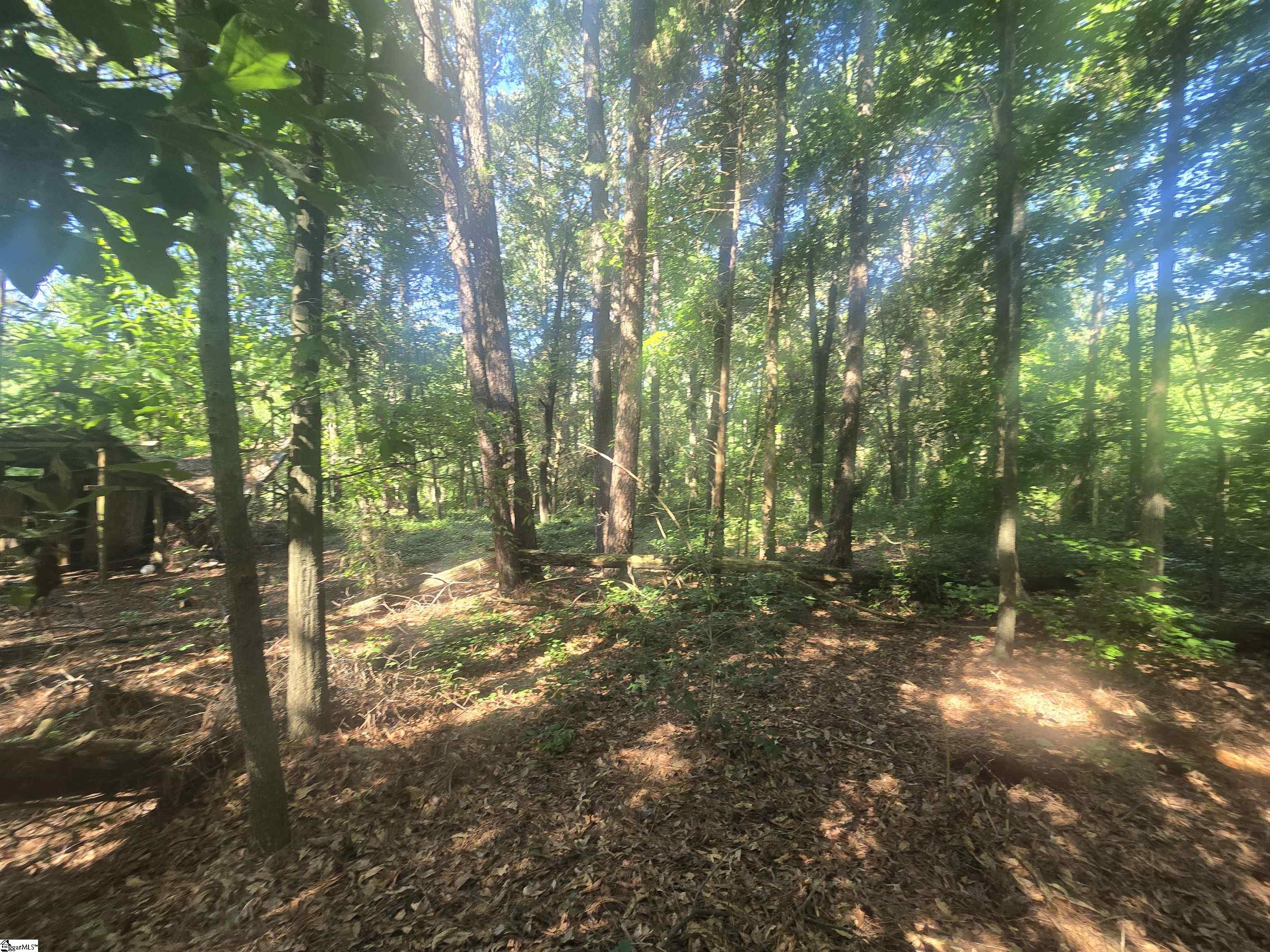12.3 Acres 243 Highway Property Photo 6
