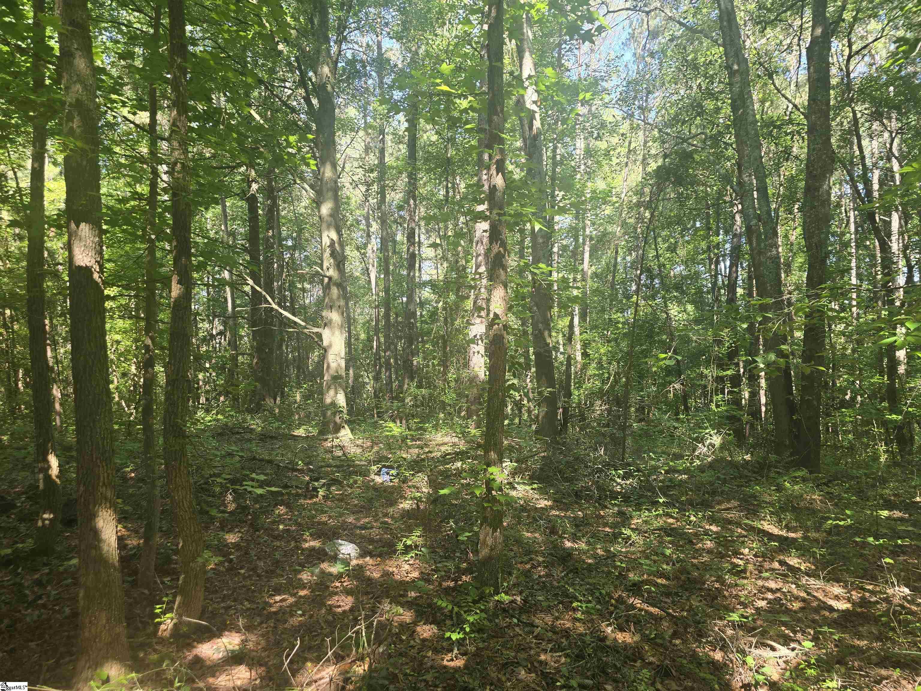 12.3 Acres 243 Highway Property Photo 8