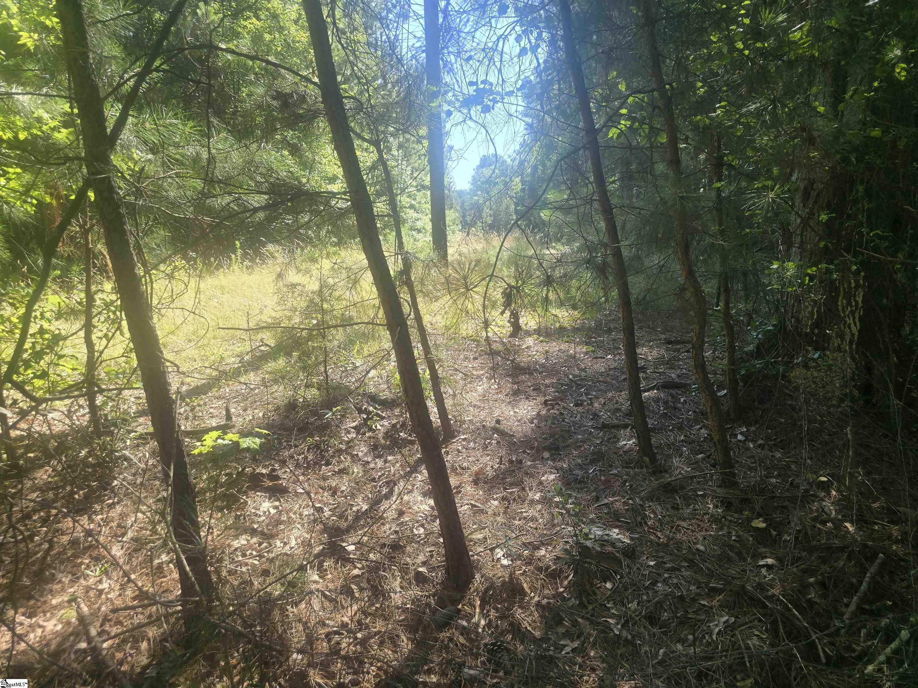 12.3 Acres 243 Highway Property Photo 10
