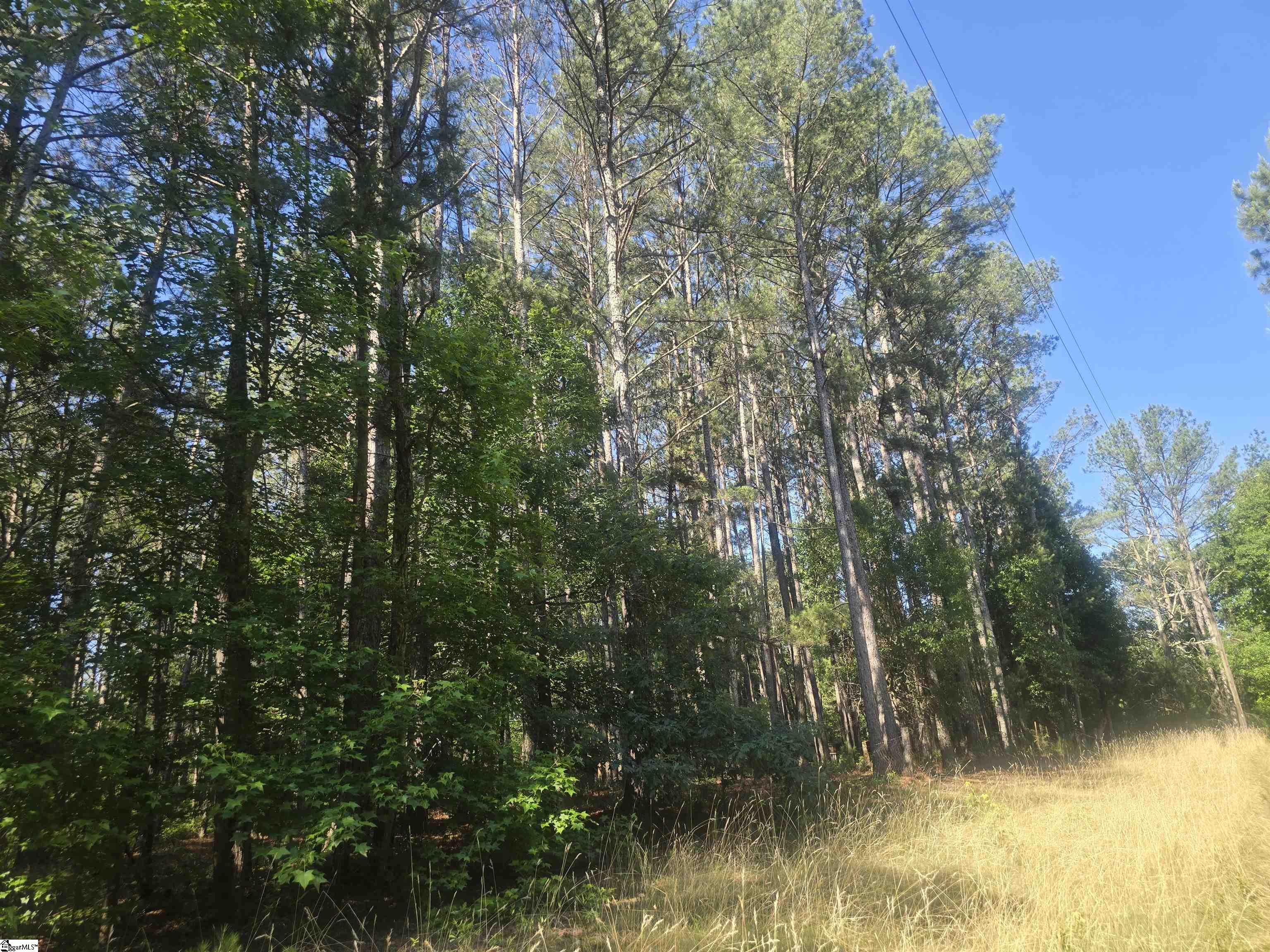 12.3 Acres 243 Highway Property Photo 11