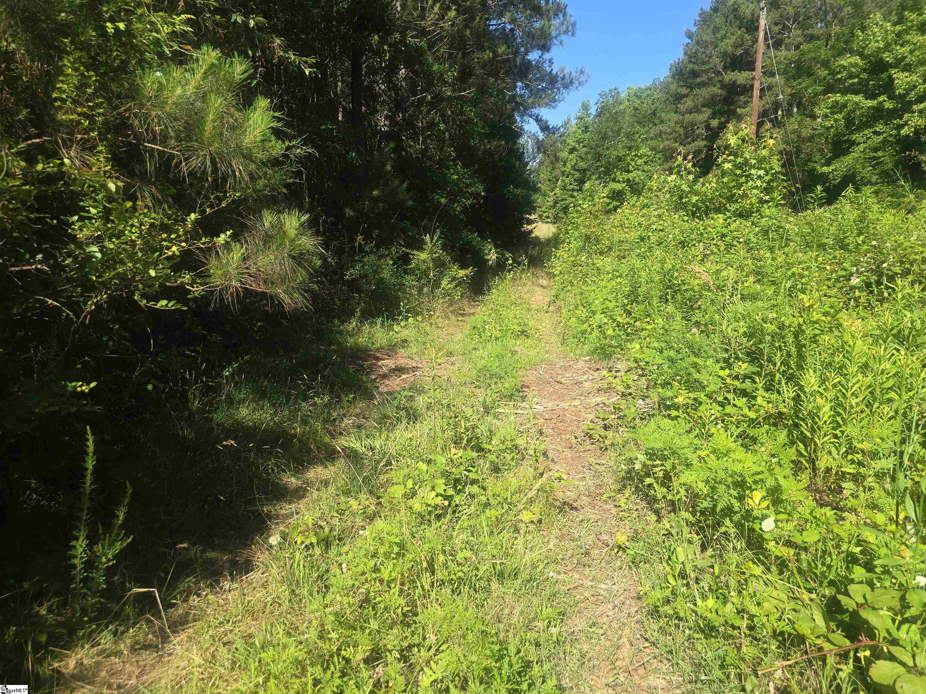 12.3 Acres 243 Highway Property Photo 13