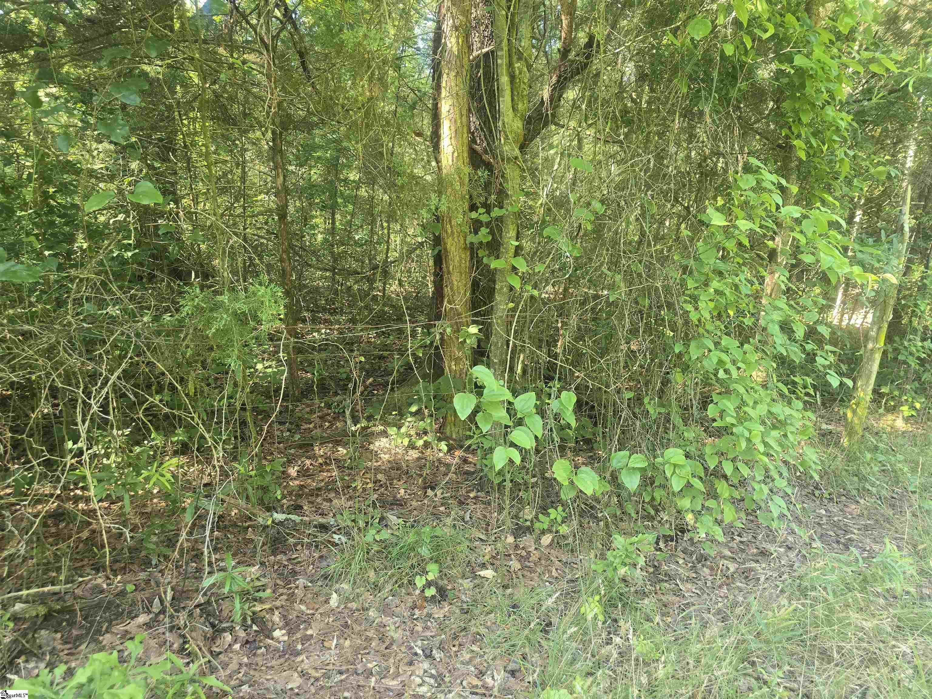 12.3 Acres 243 Highway Property Photo 14