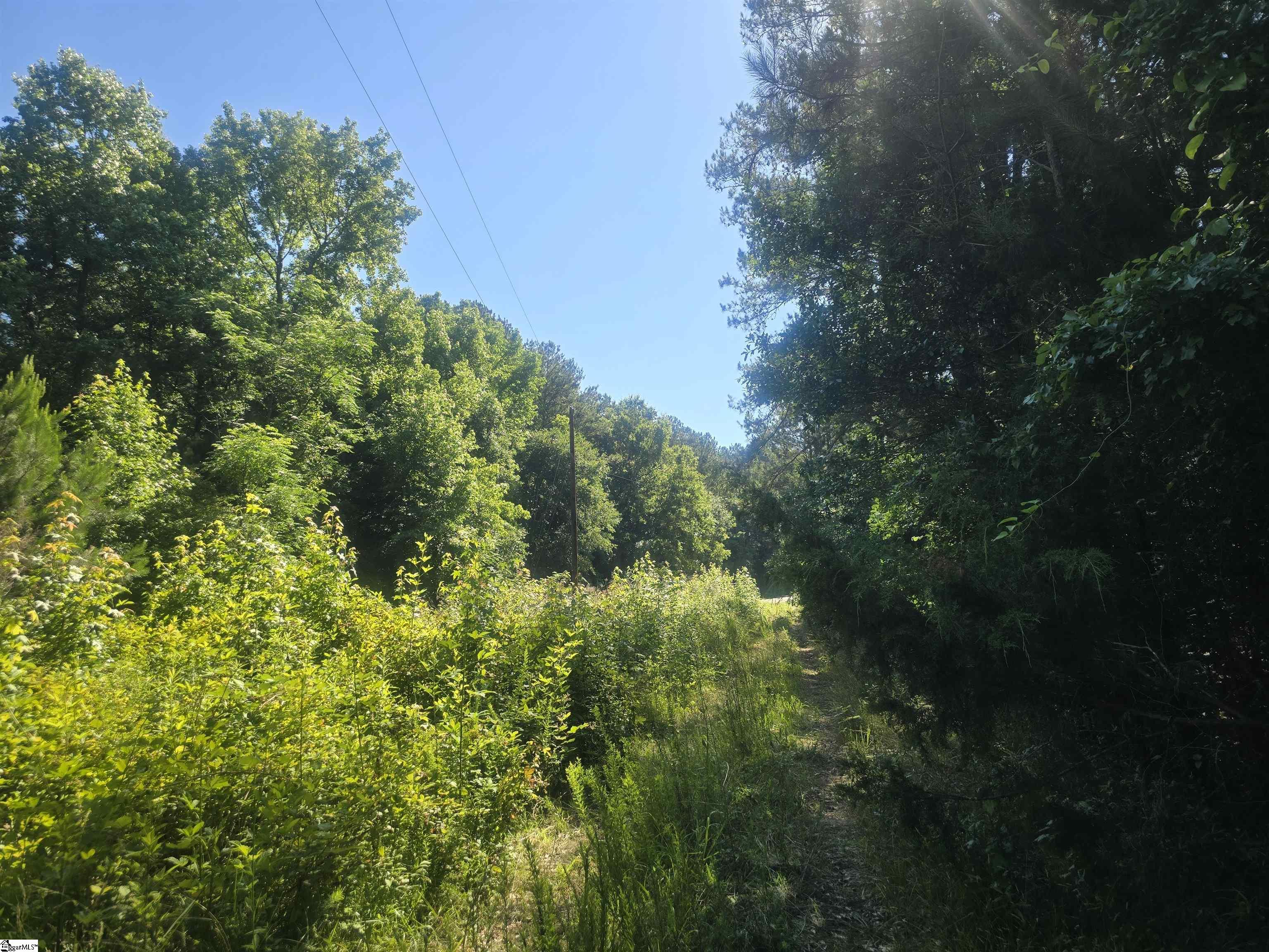 12.3 Acres 243 Highway Property Photo 15