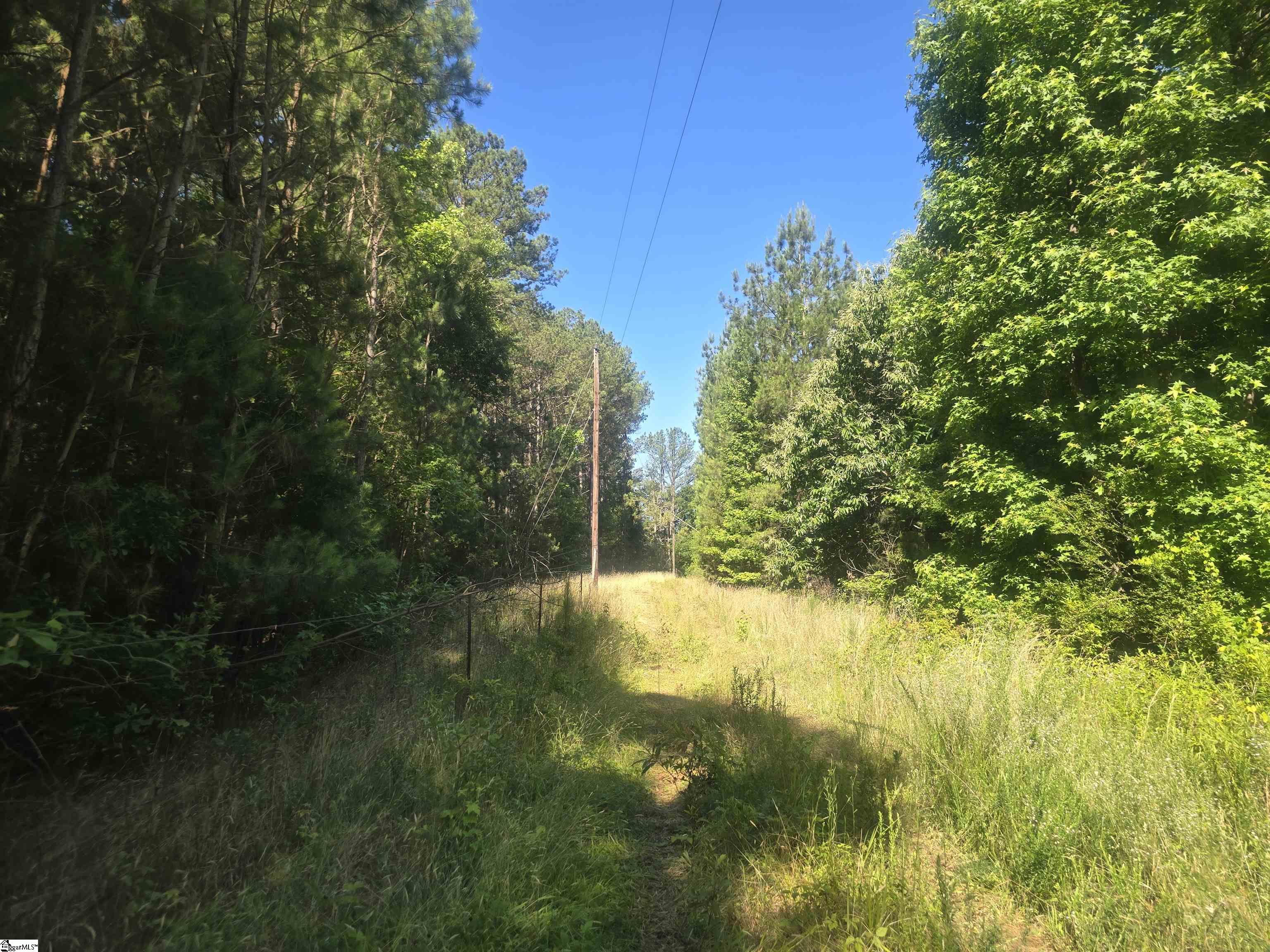 12.3 Acres 243 Highway Property Photo 16