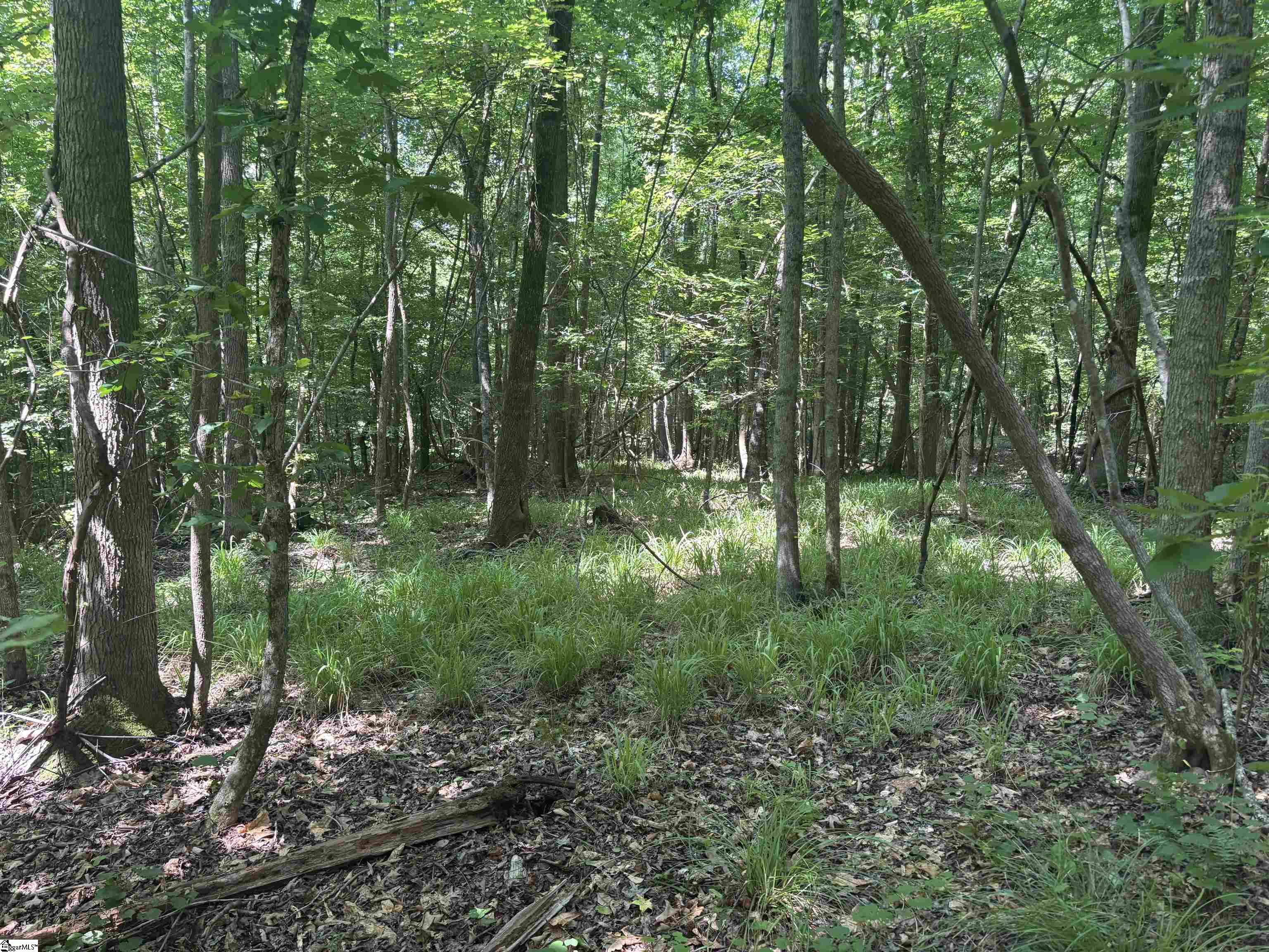 Old Calhoun Falls Road Property Photo 2