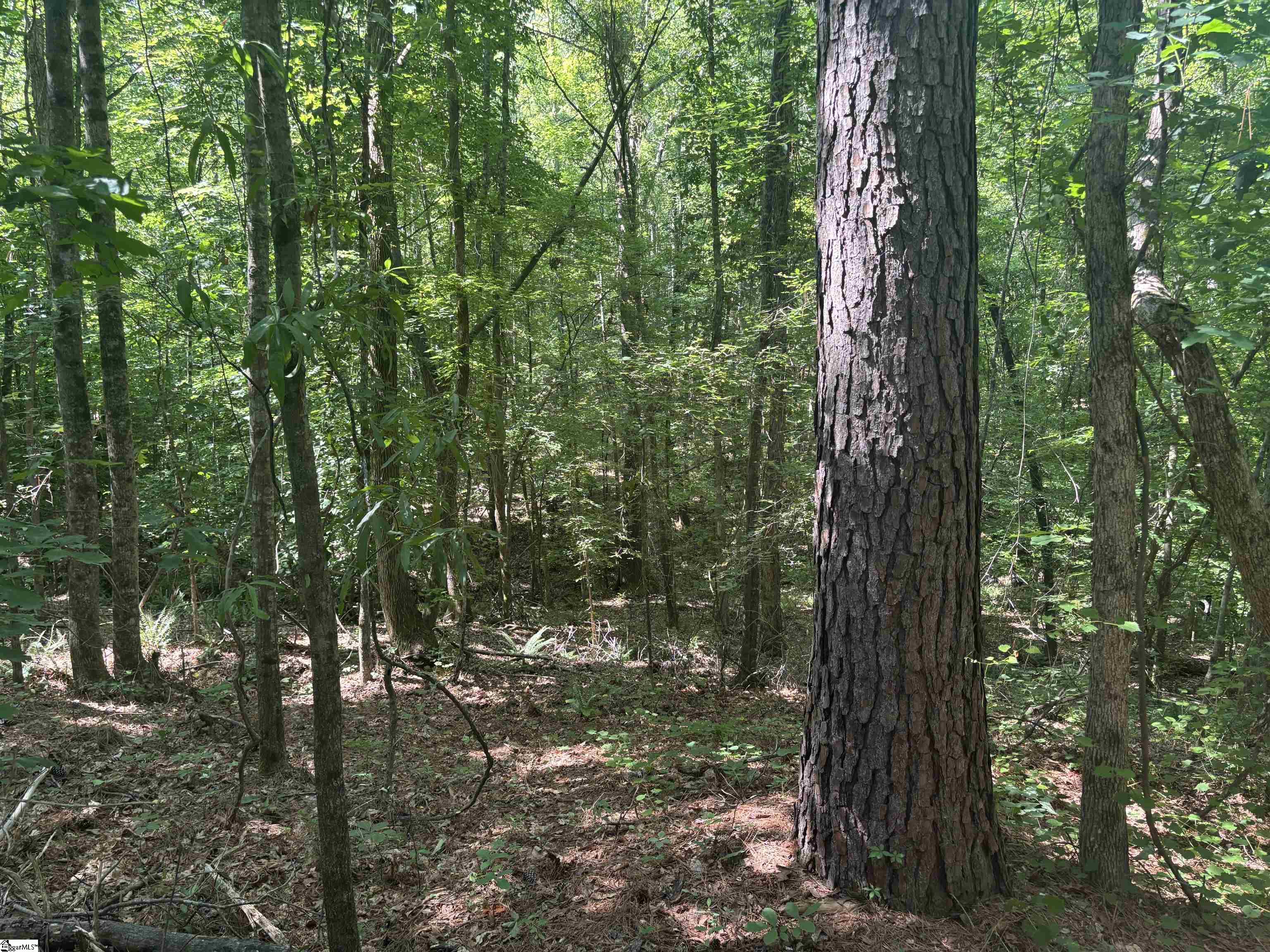 Old Calhoun Falls Road Property Photo 6