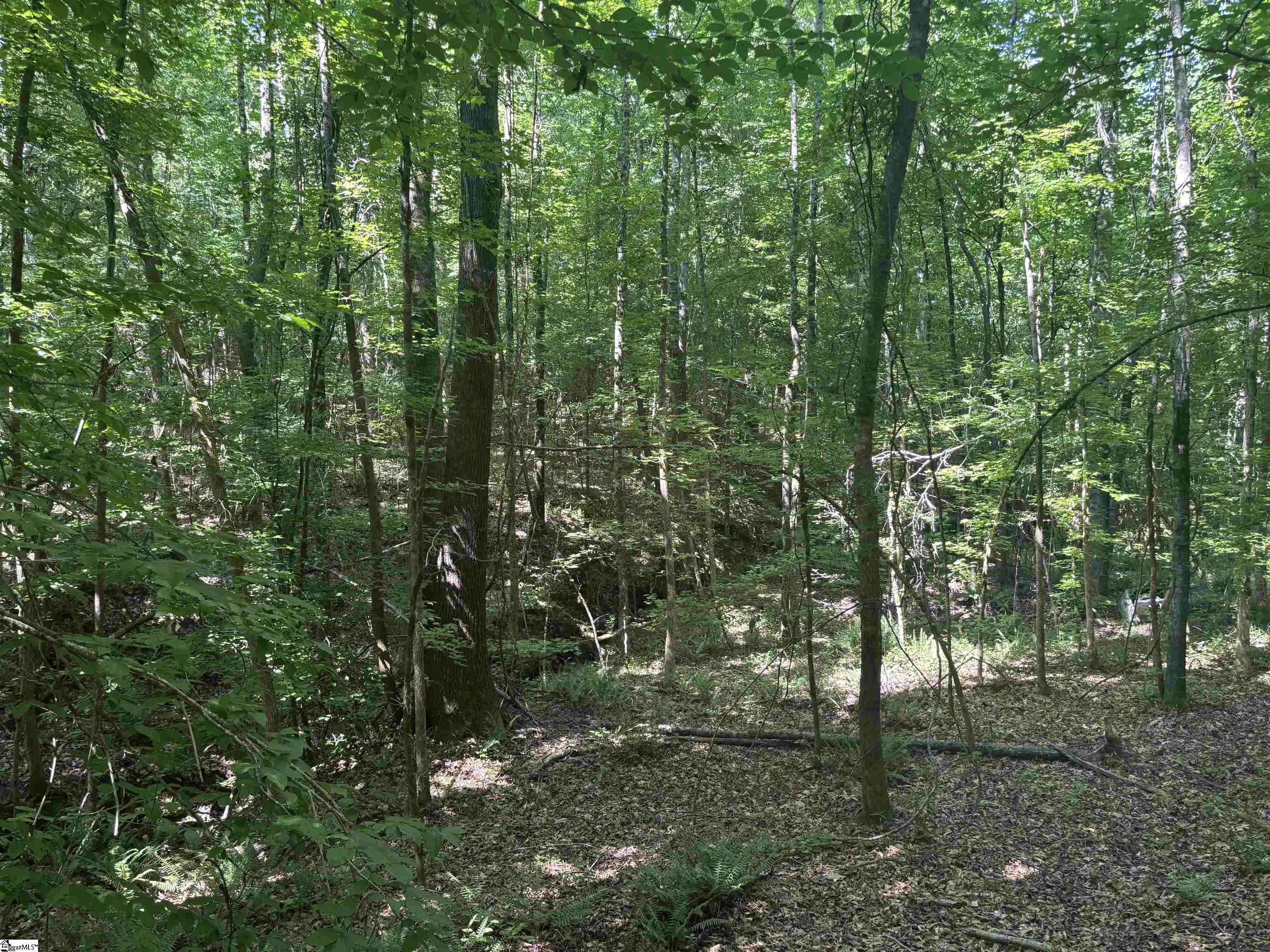 Old Calhoun Falls Road Property Photo 7