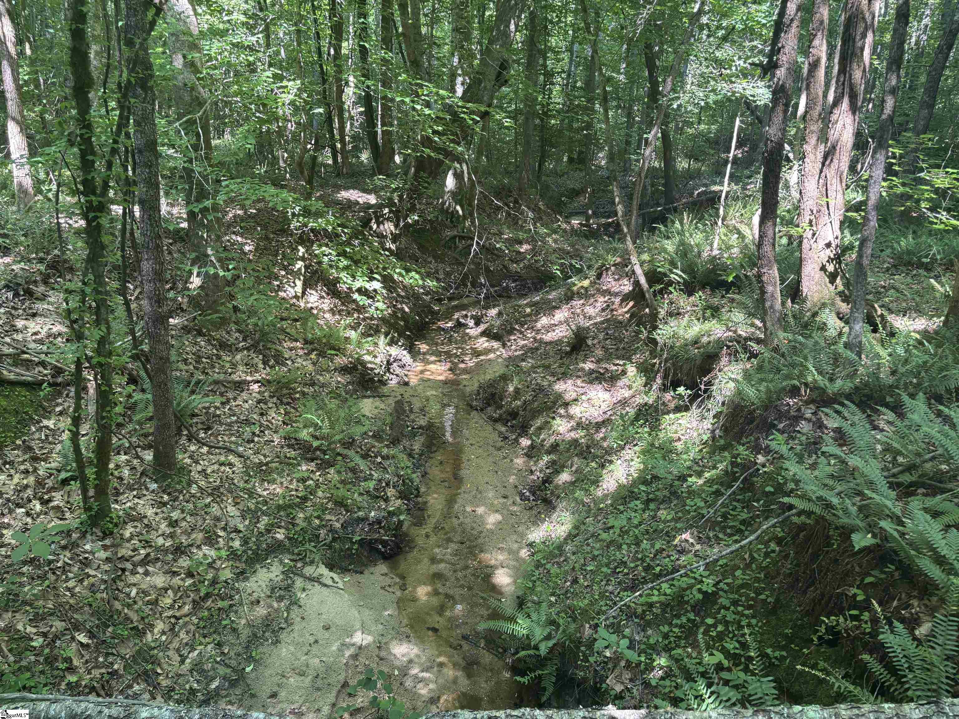 Old Calhoun Falls Road Property Photo 8
