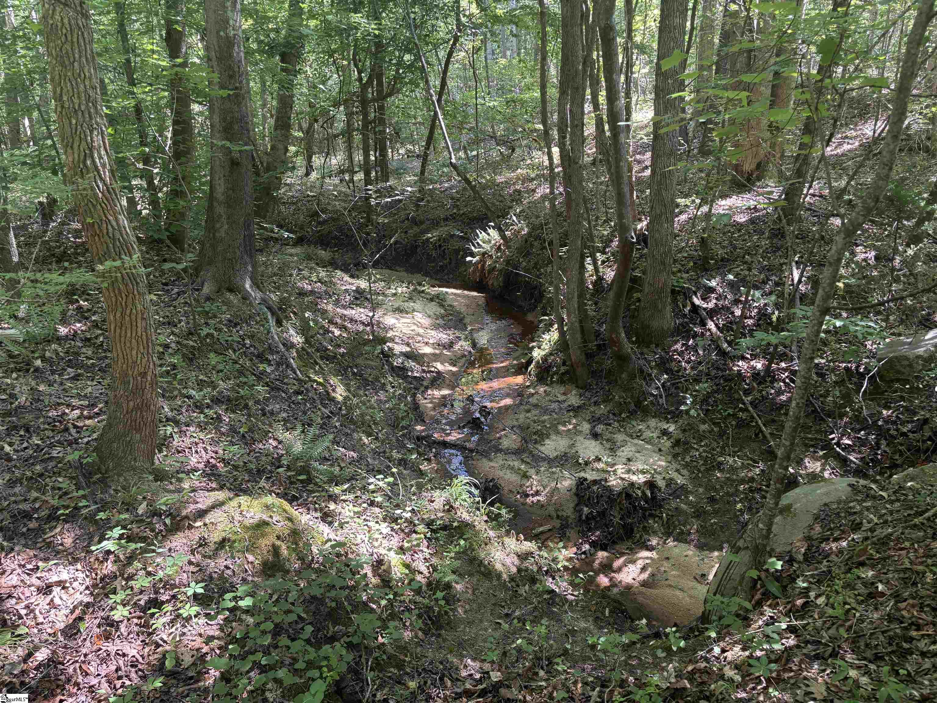 Old Calhoun Falls Road Property Photo 9
