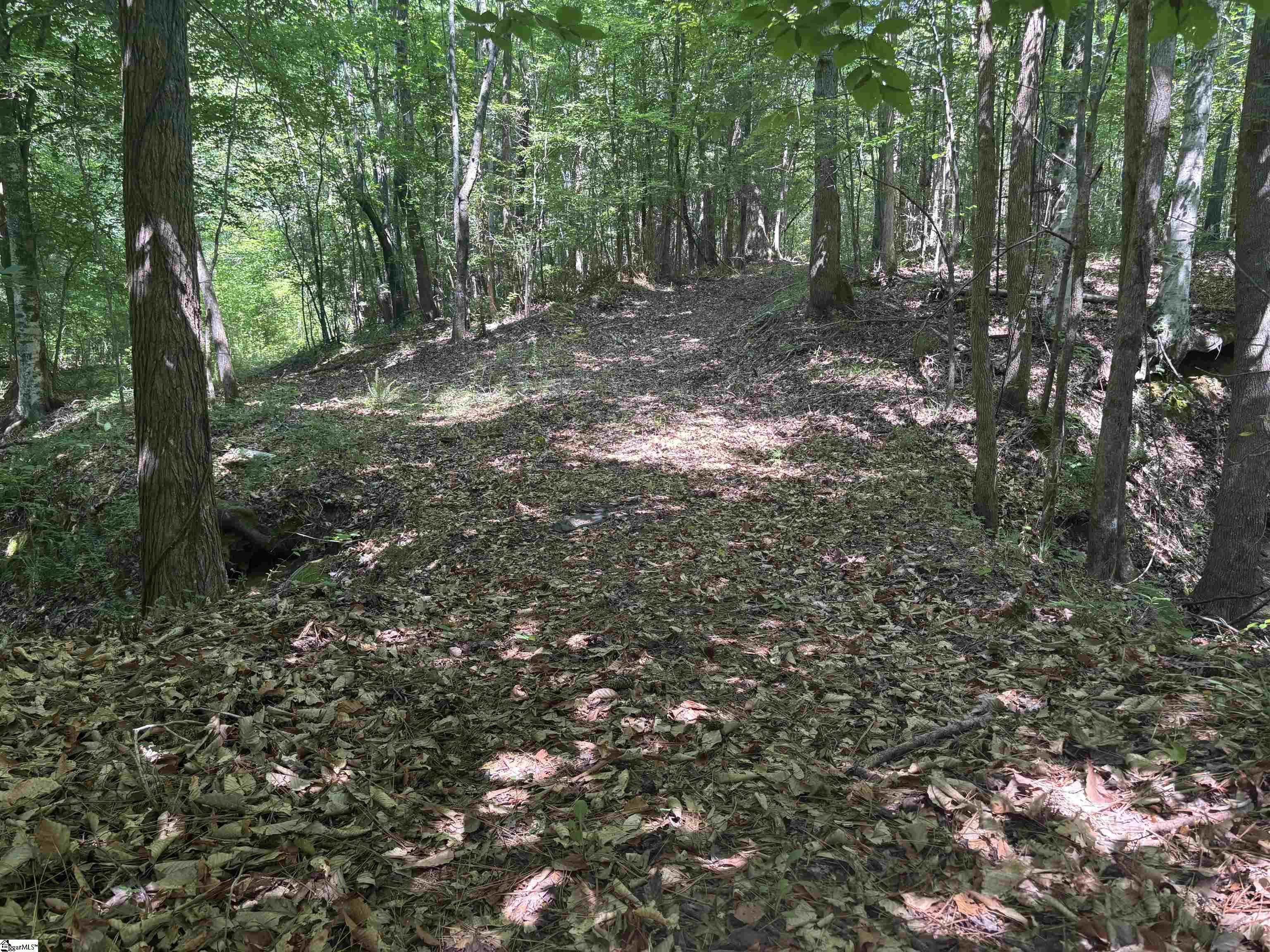 Old Calhoun Falls Road Property Photo 10