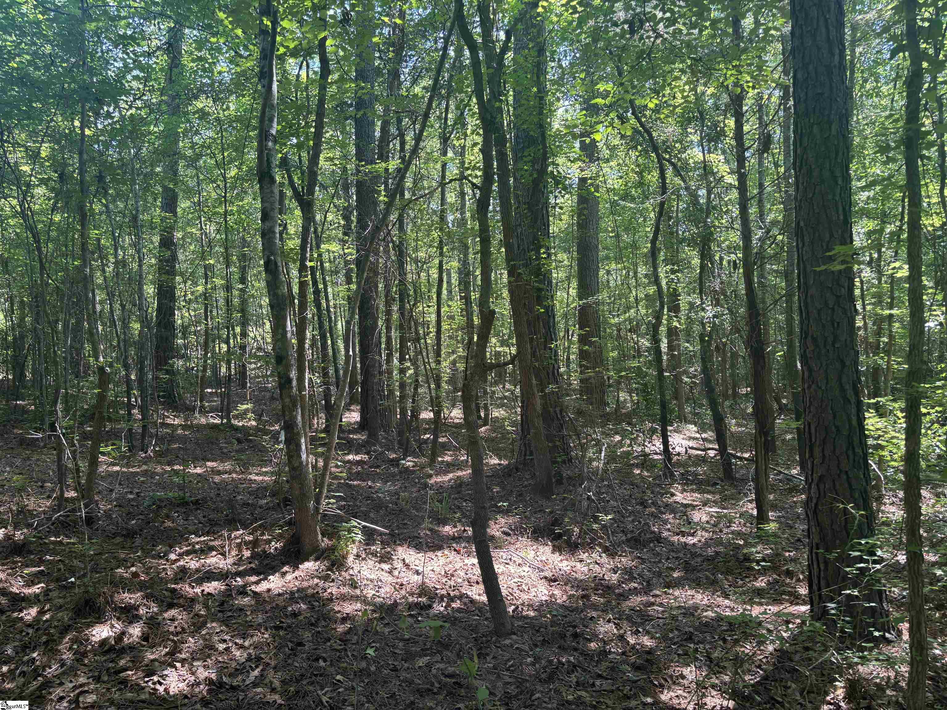 Old Calhoun Falls Road Property Photo 11