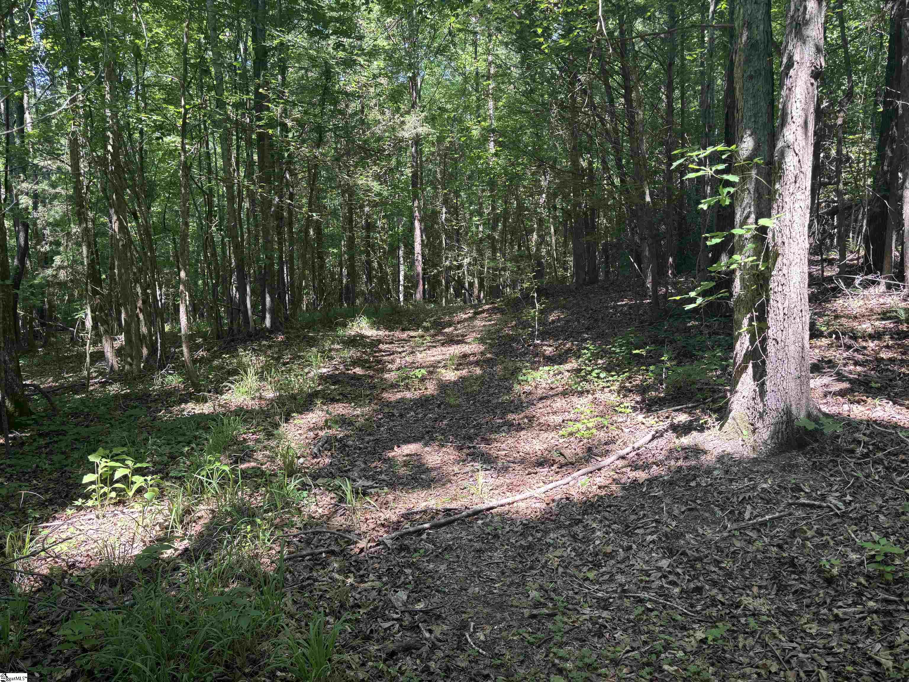 Old Calhoun Falls Road Property Photo 12