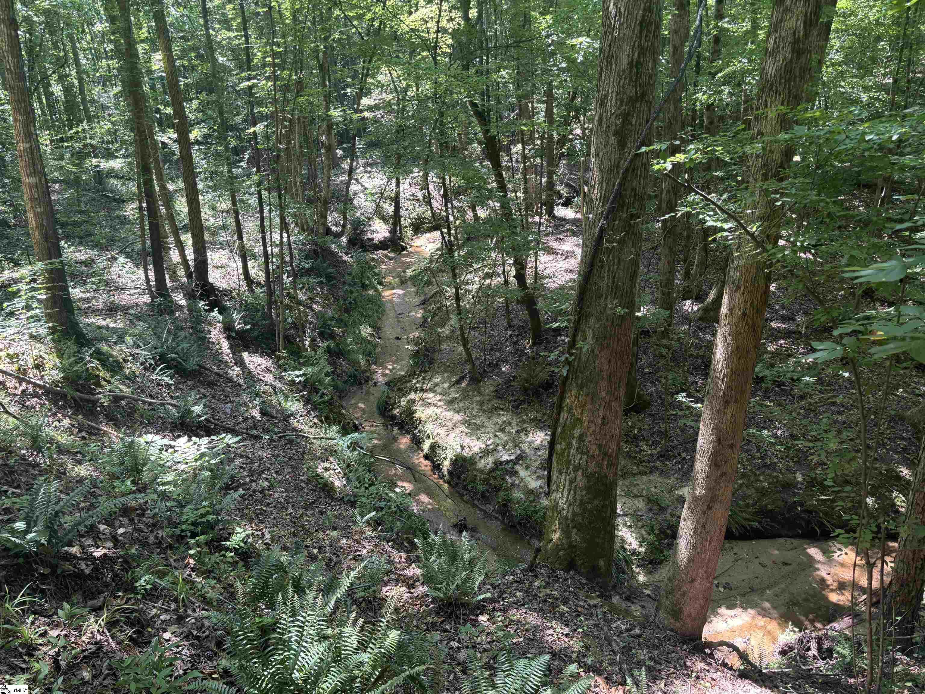 Old Calhoun Falls Road Property Photo 13
