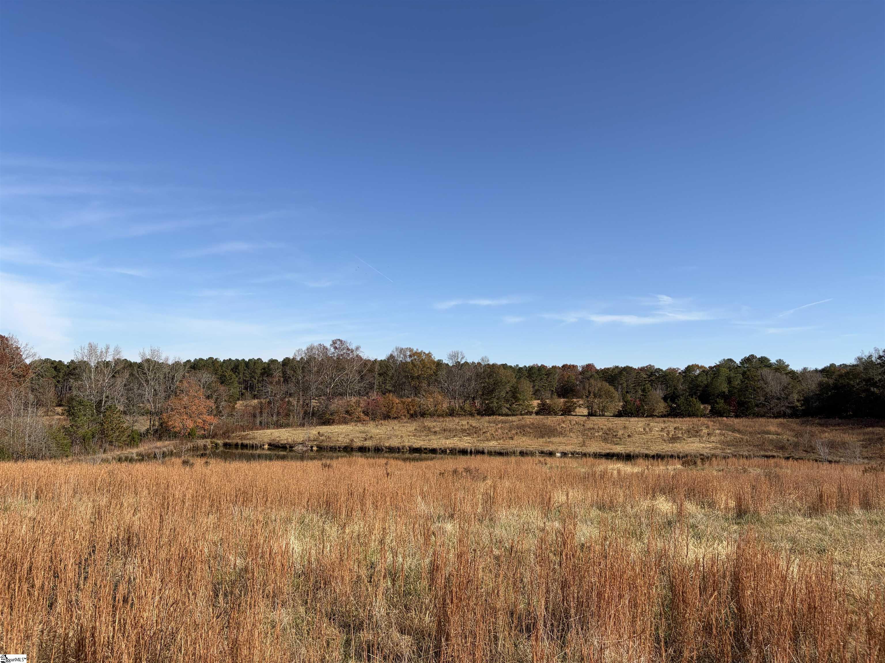 09 Sc - 413 Highway Property Photo 5